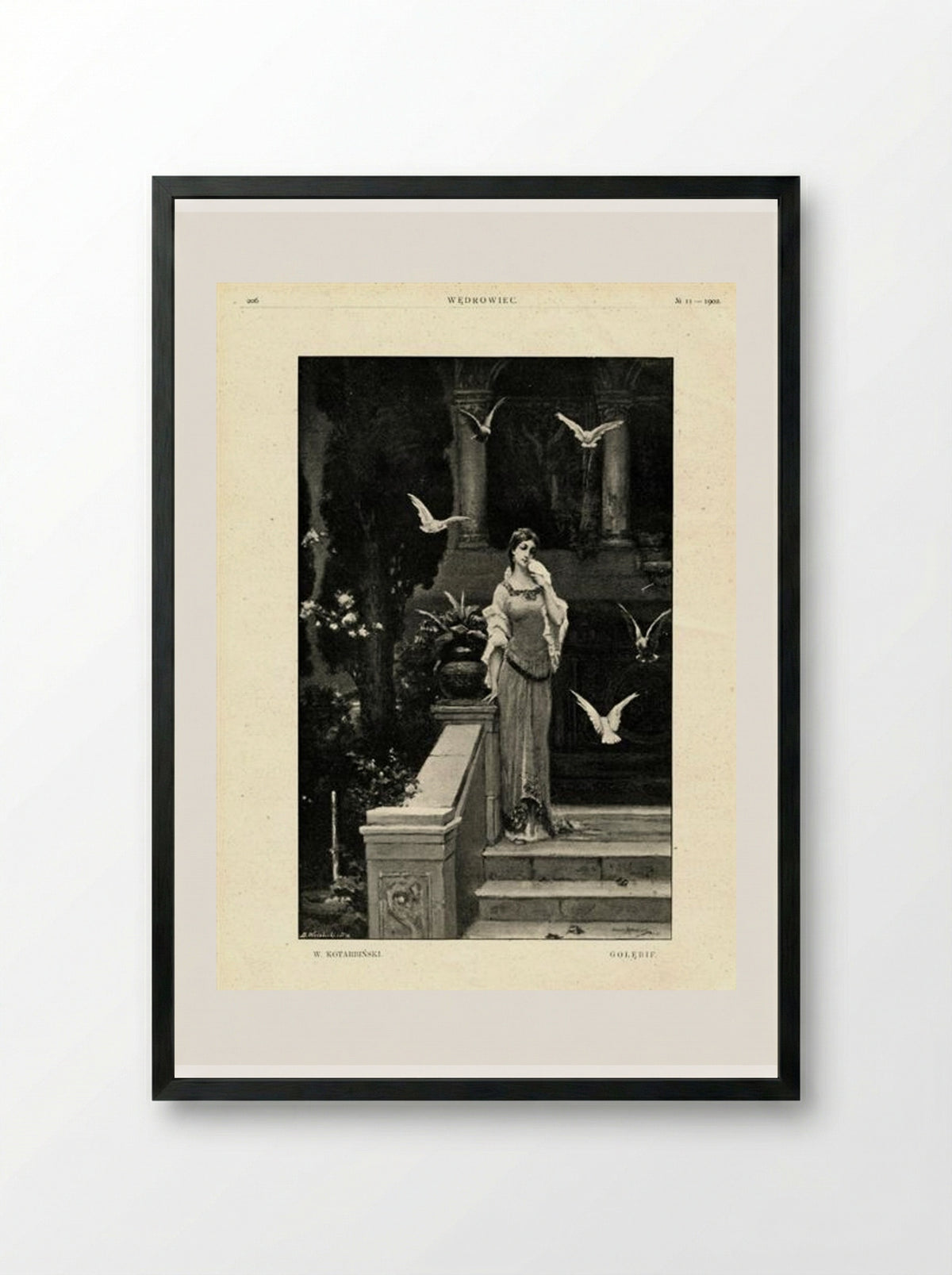 Pigeons - Wilhelm Kotarbiński - Framed Print Black