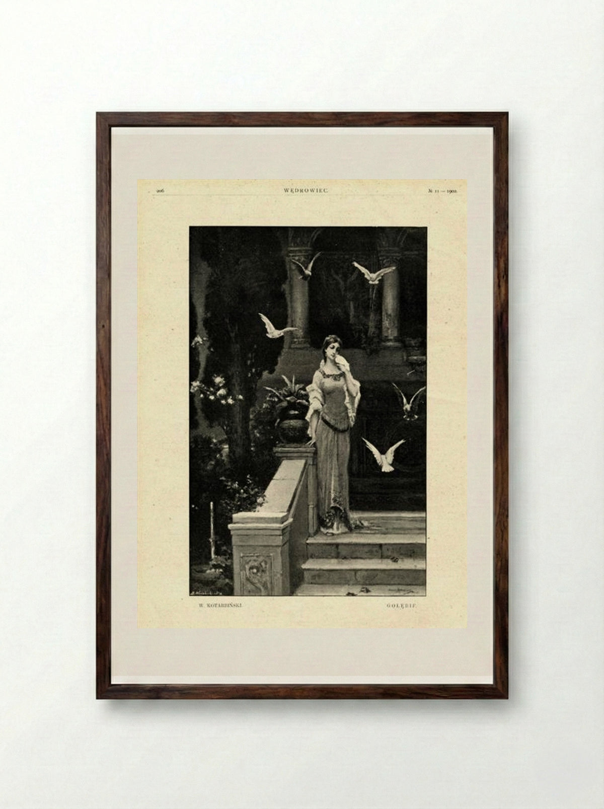 Pigeons - Wilhelm Kotarbiński - Framed Print Dark Wood
