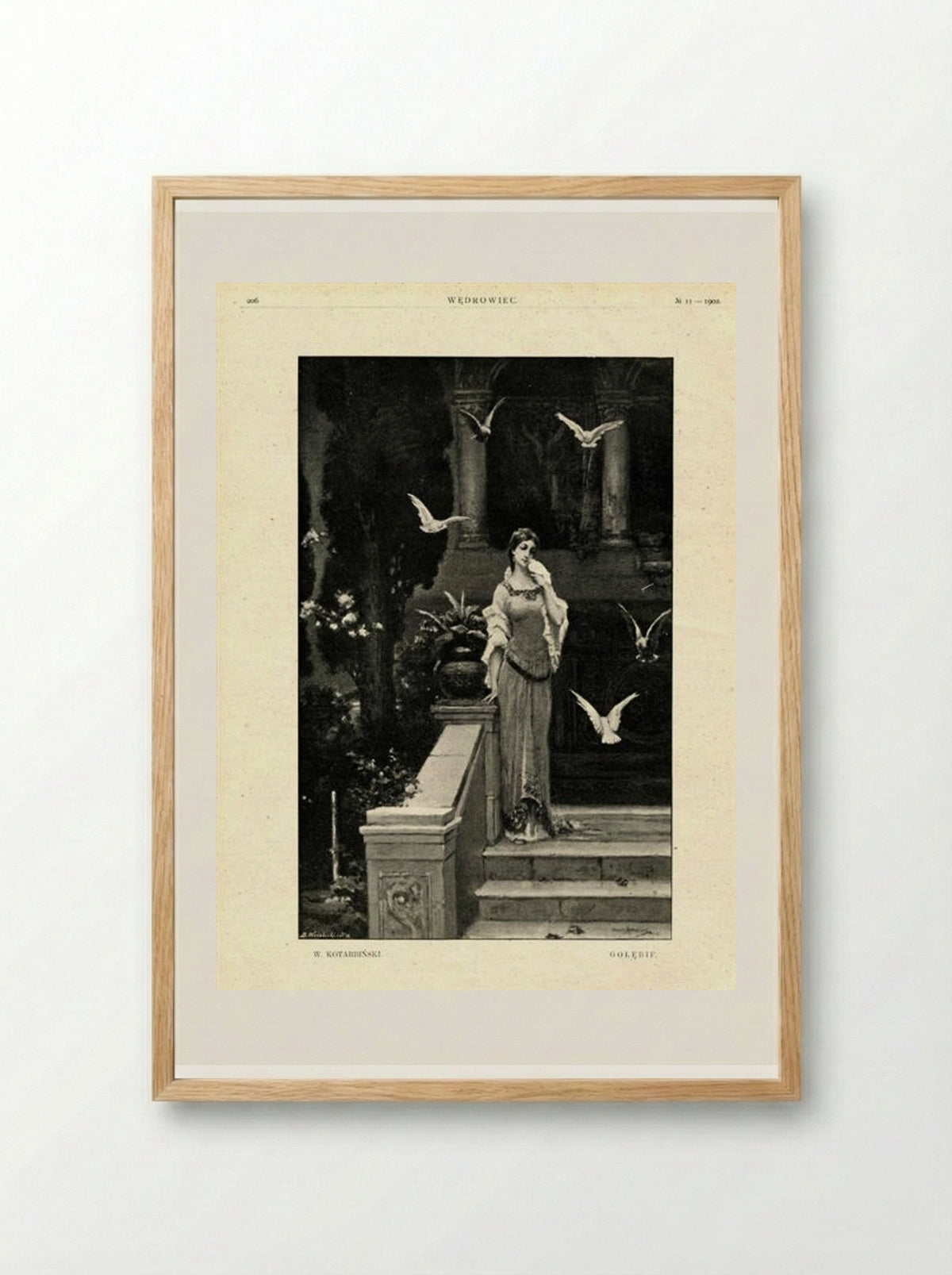 Pigeons - Wilhelm Kotarbiński - Framed Print Wood