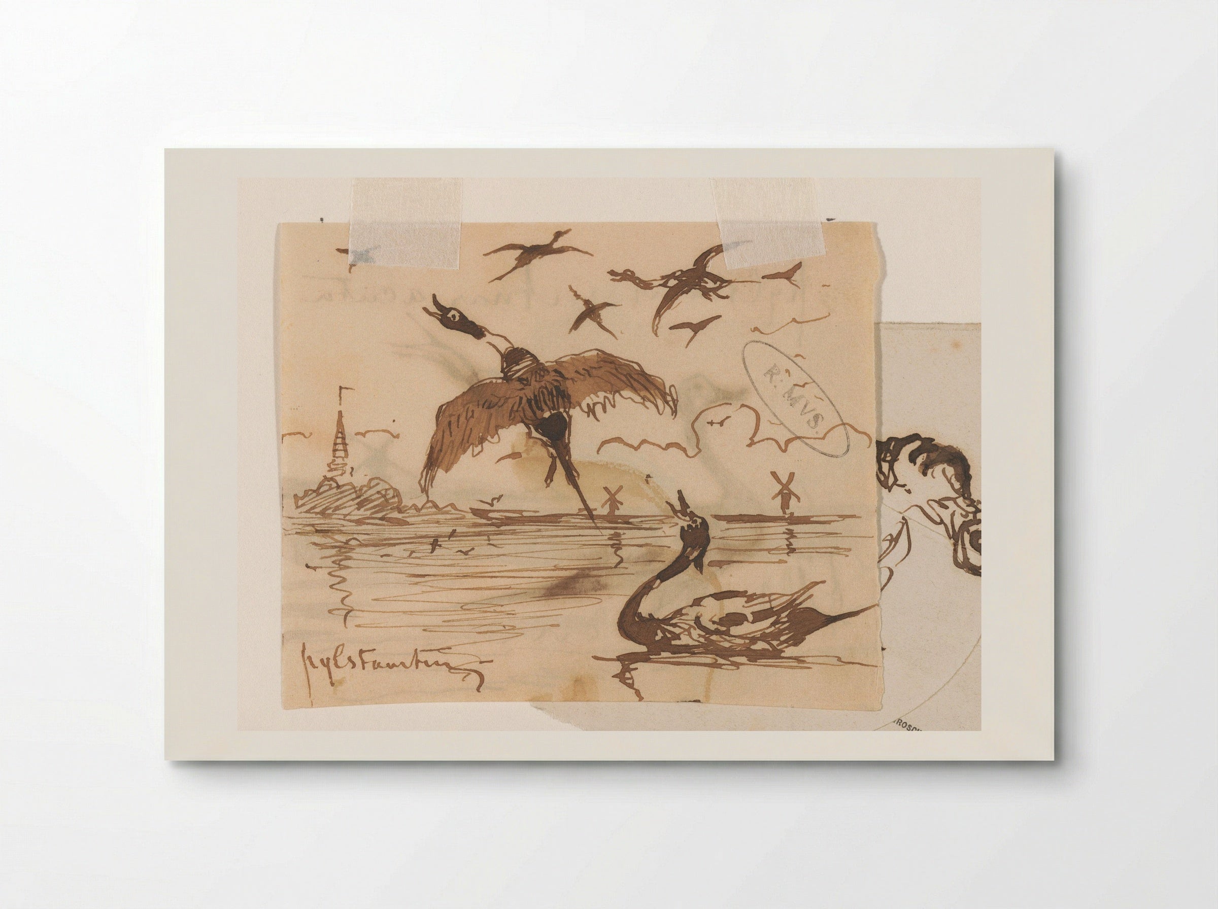 Pijlstaarteenden (Pintail Ducks) - Johannes Tavenraat - Poster