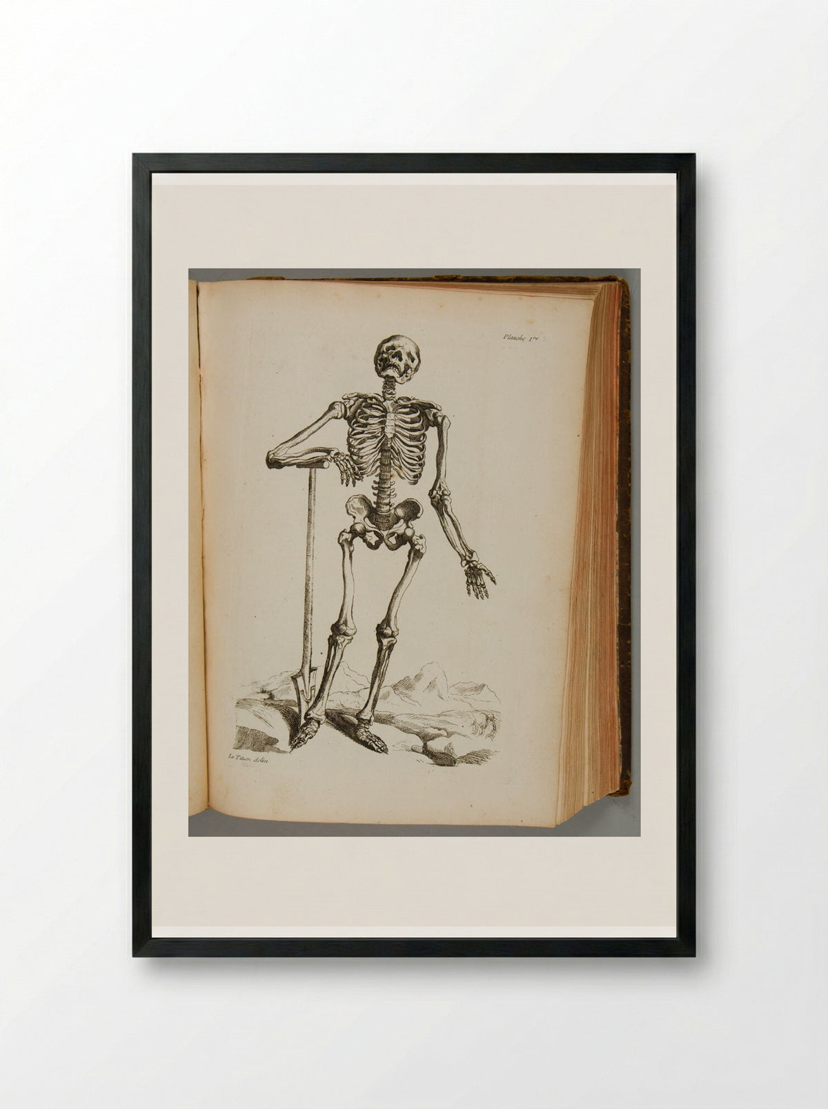 Planche 1re (Skeleton with Spade) - Various Artists - Framed Print Black