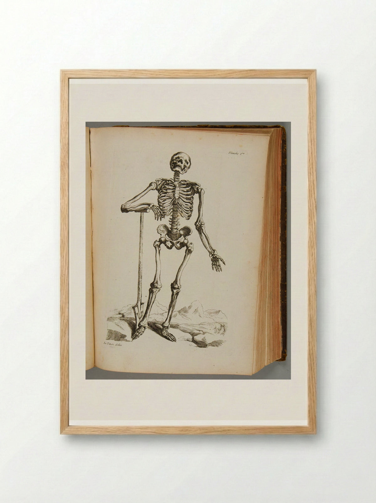 Planche 1re (Skeleton with Spade) - Various Artists - Framed Print Wood
