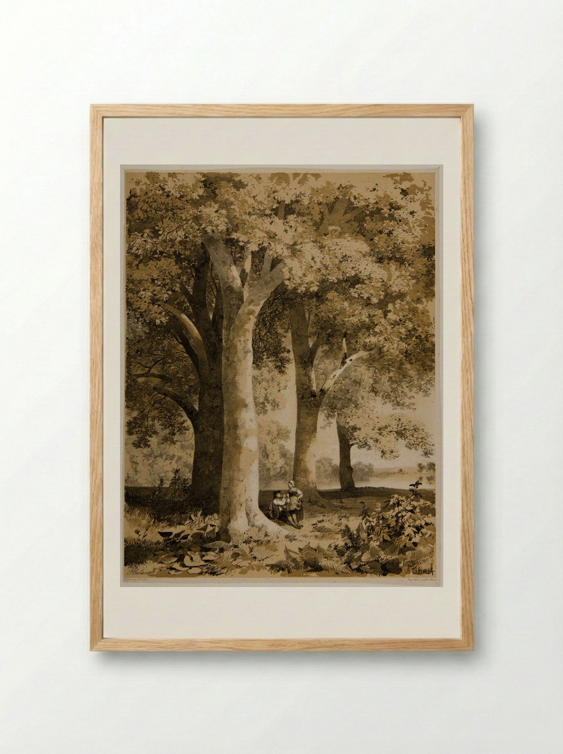 Plane-Trees - Alexandre Calame - Framed Print Wood