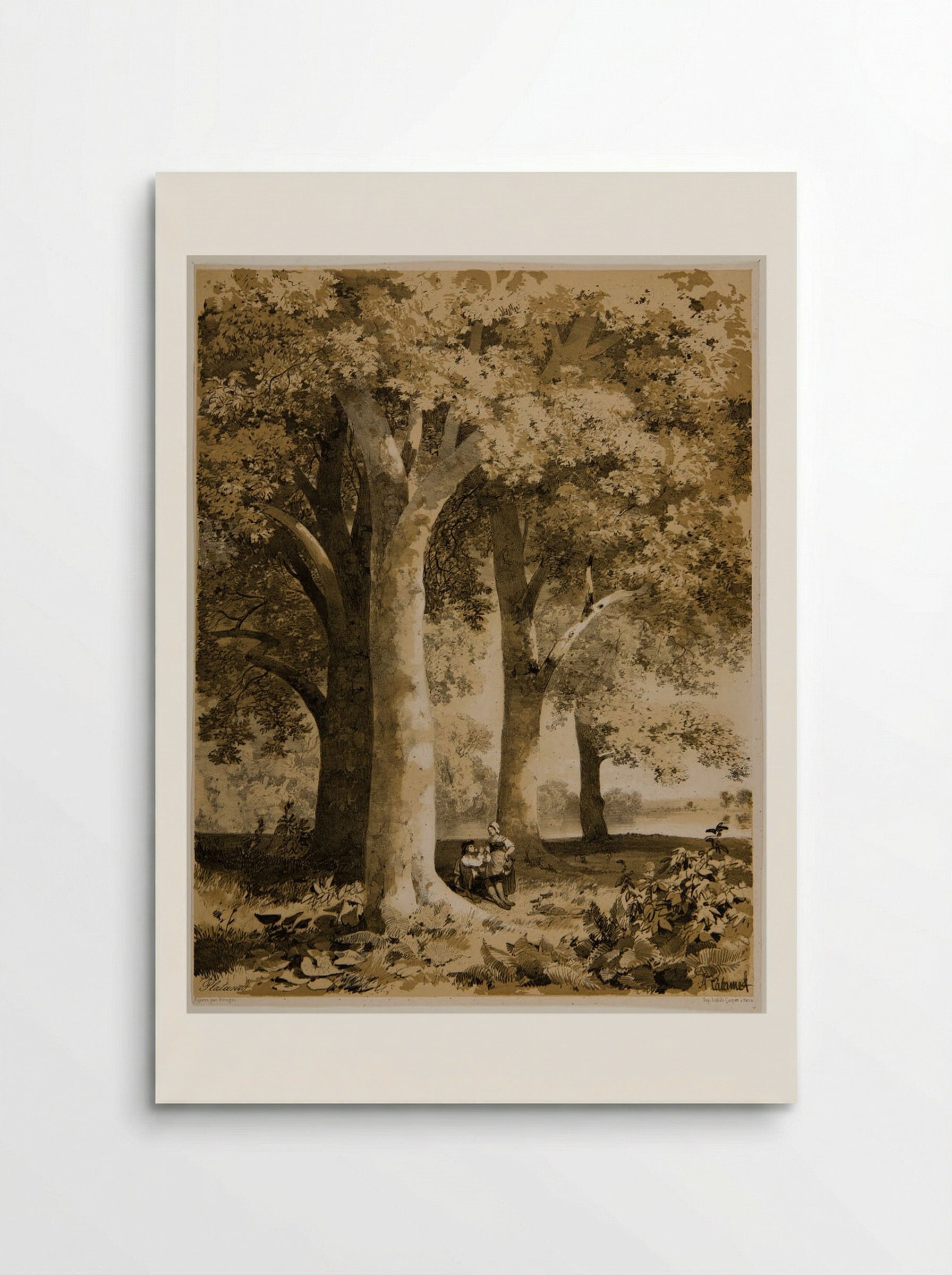 Plane-Trees - Alexandre Calame - Poster