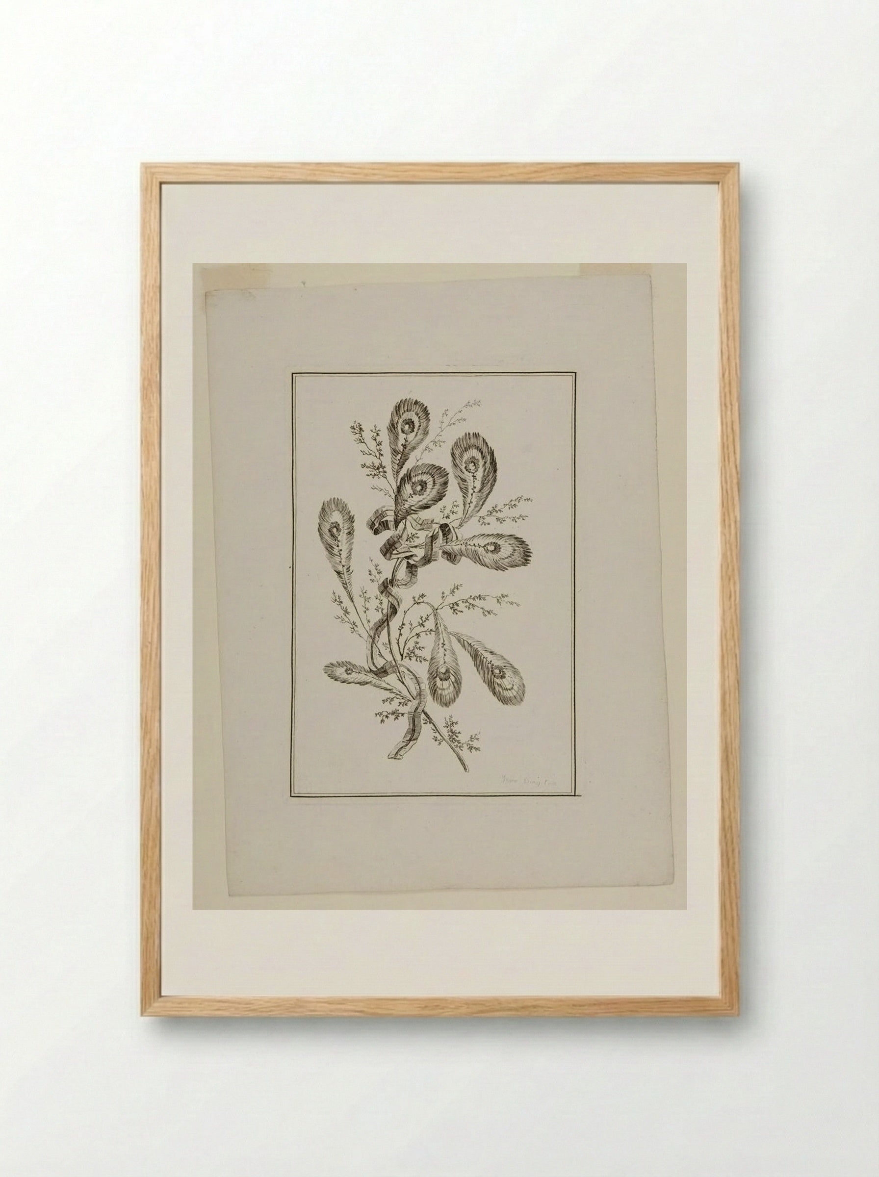 Plant Fantasy - Jeanne Deny - Framed Print Wood