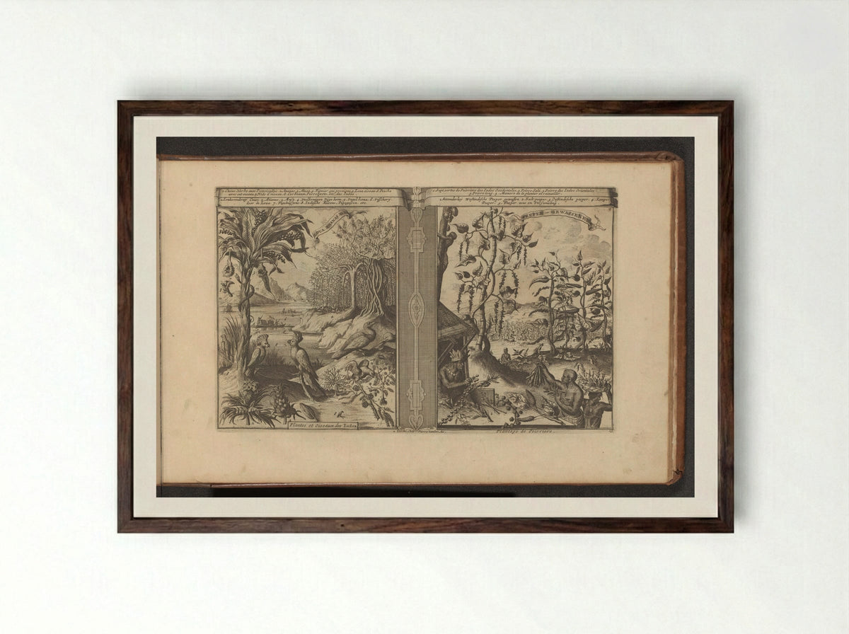 Planten, vogels en pepervelden - Romeyn de Hooghe - Framed Print Dark Wood