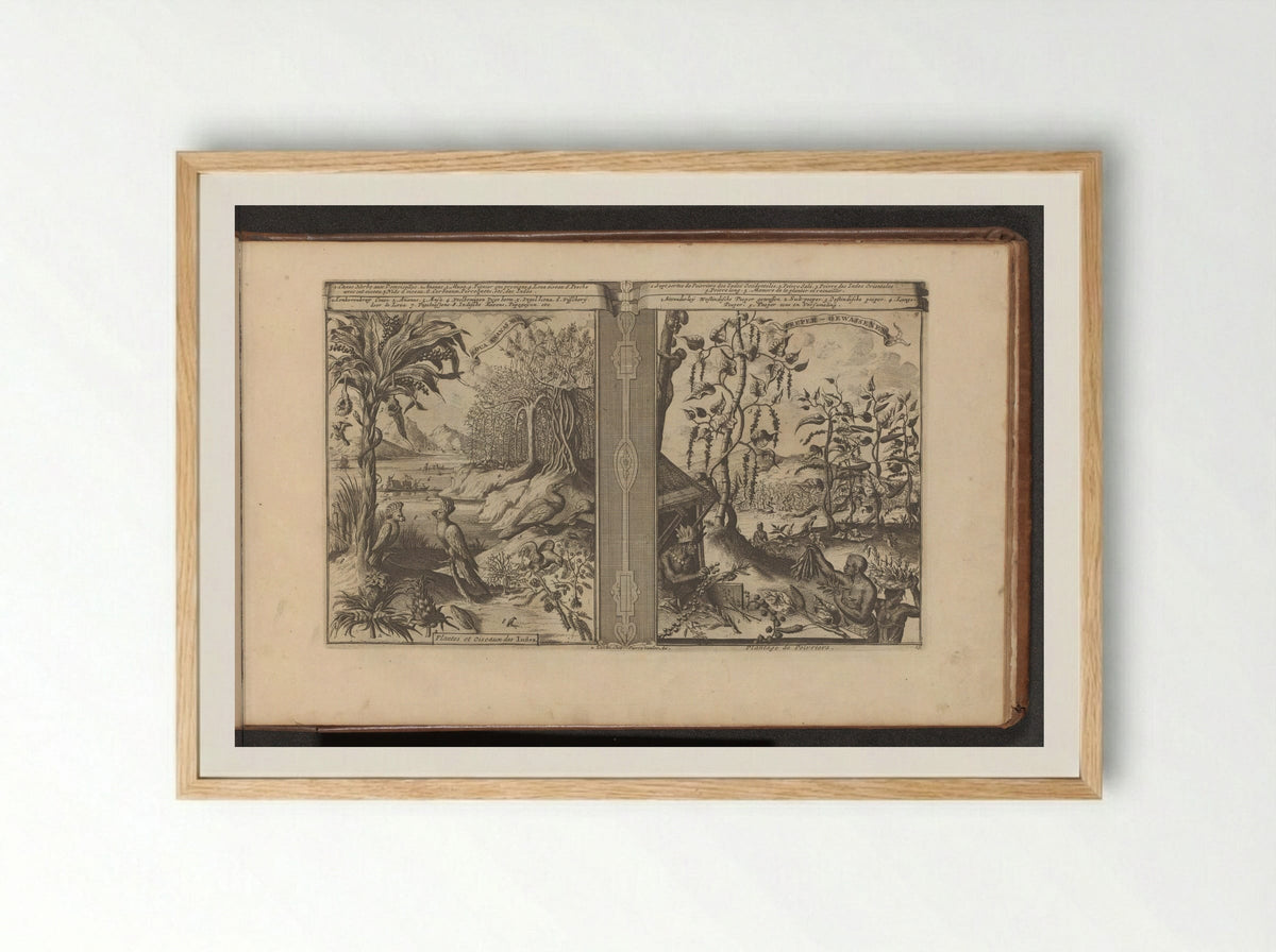 Planten, vogels en pepervelden - Romeyn de Hooghe - Framed Print Wood