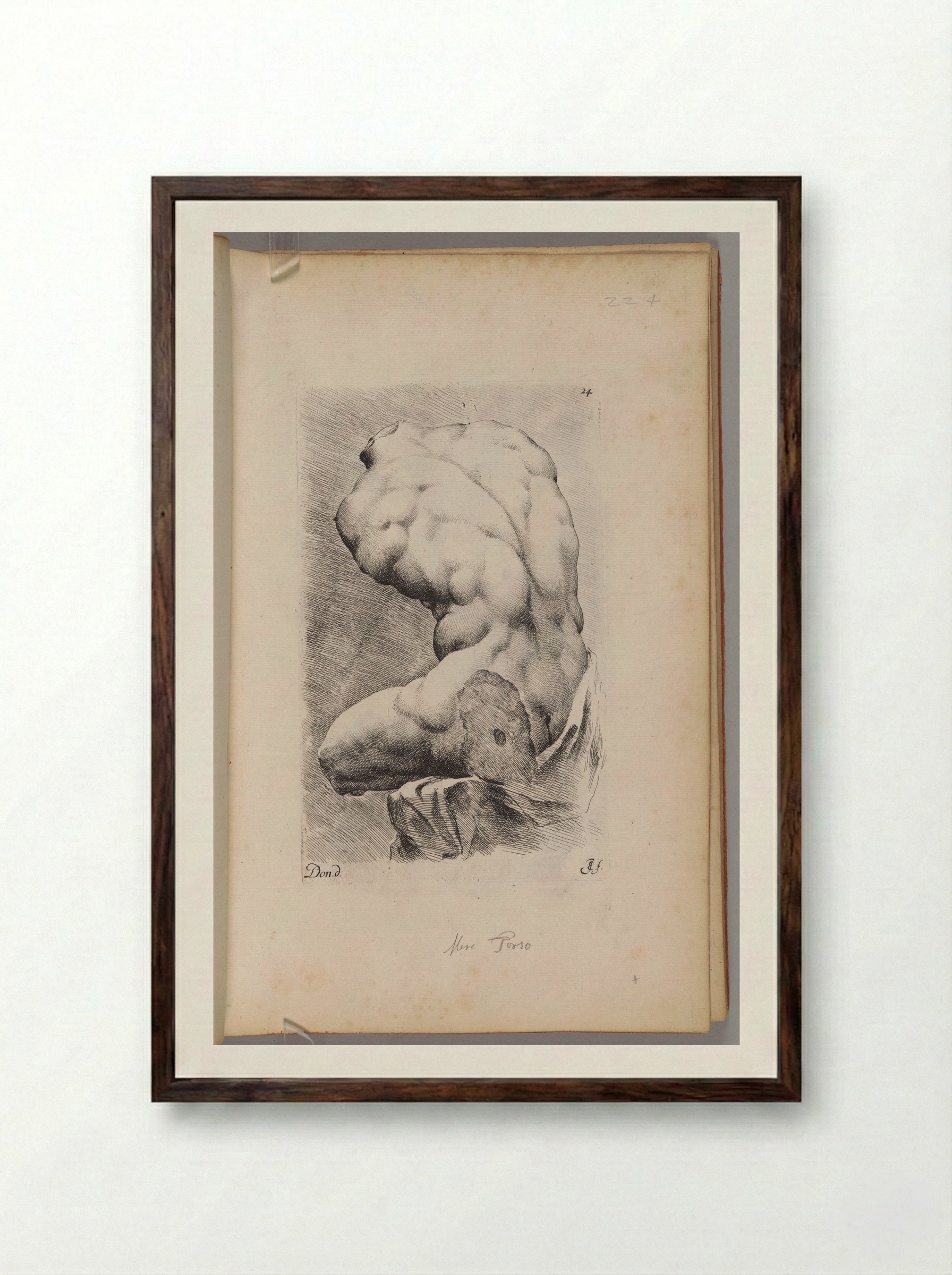Plate 24: The so-called Belvedere Torso - Jan de Bisschop - Framed Print Dark Wood