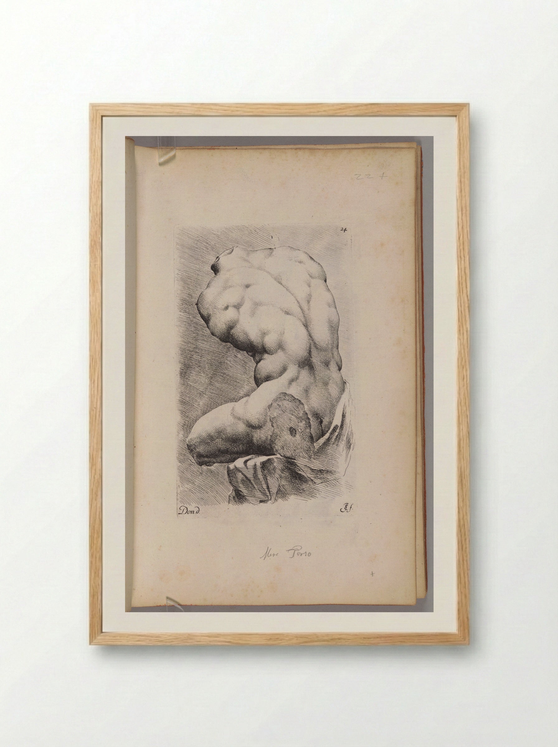 Plate 24: The so-called Belvedere Torso - Jan de Bisschop - Framed Print Wood