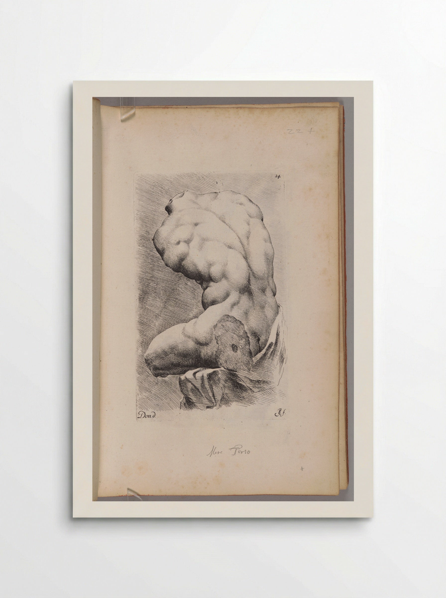 Plate 24: The so-called Belvedere Torso - Jan de Bisschop - Poster