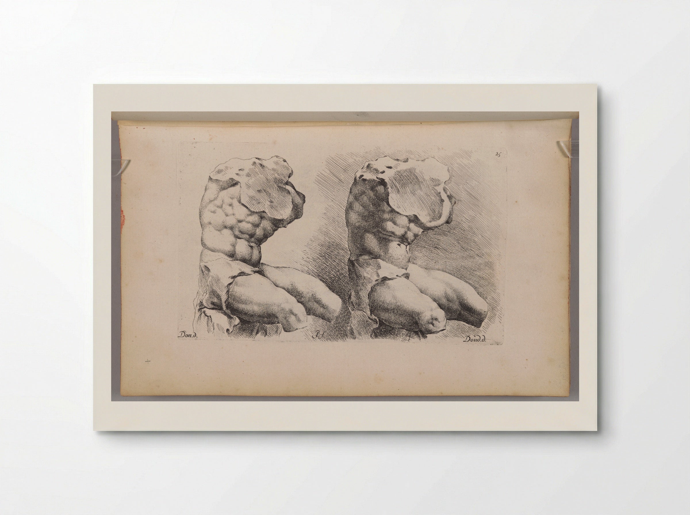 Plate 25: The so-called Belvedere Torso - Jan de Bisschop - Poster