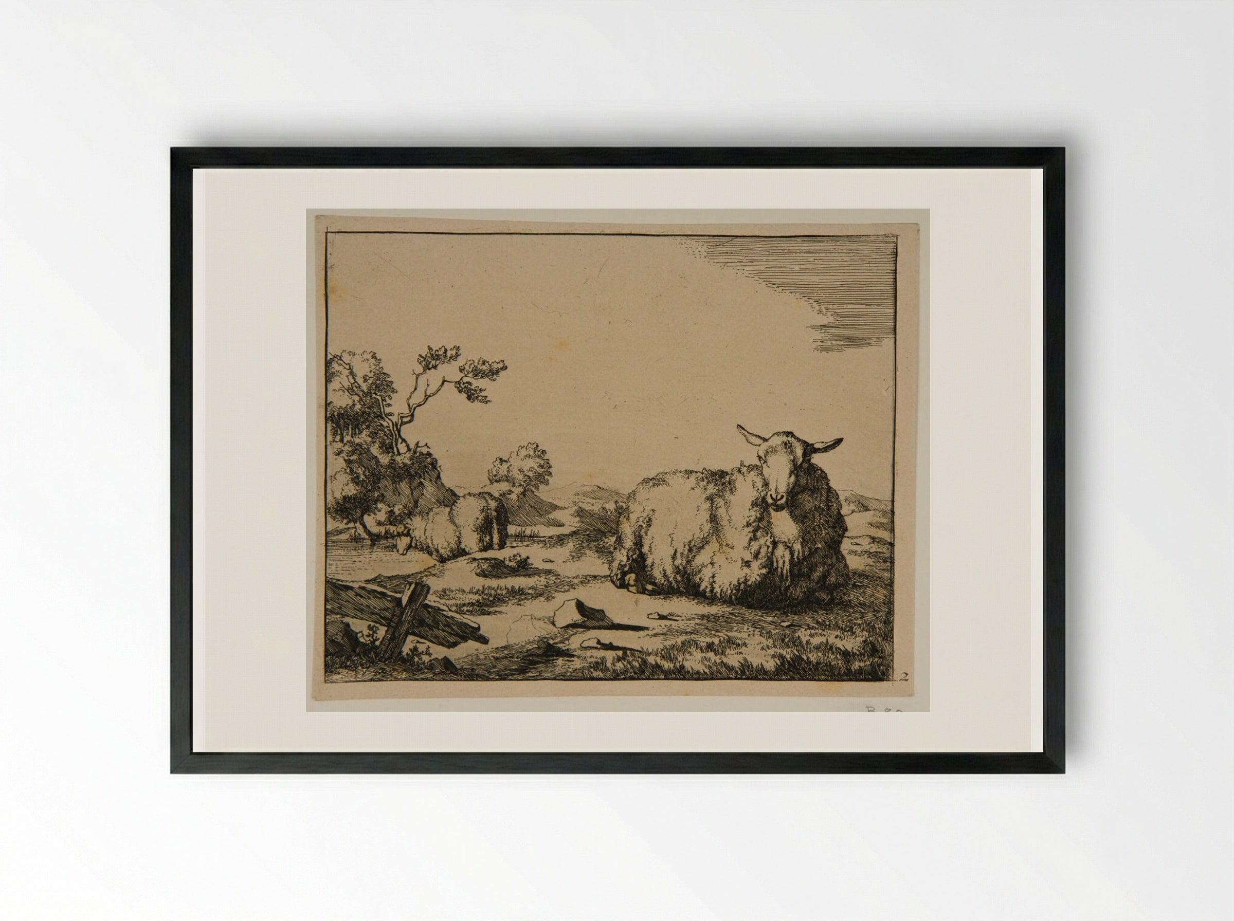 Plate I (Sheep in a Field) - Marcus de Bye - Framed Print Black
