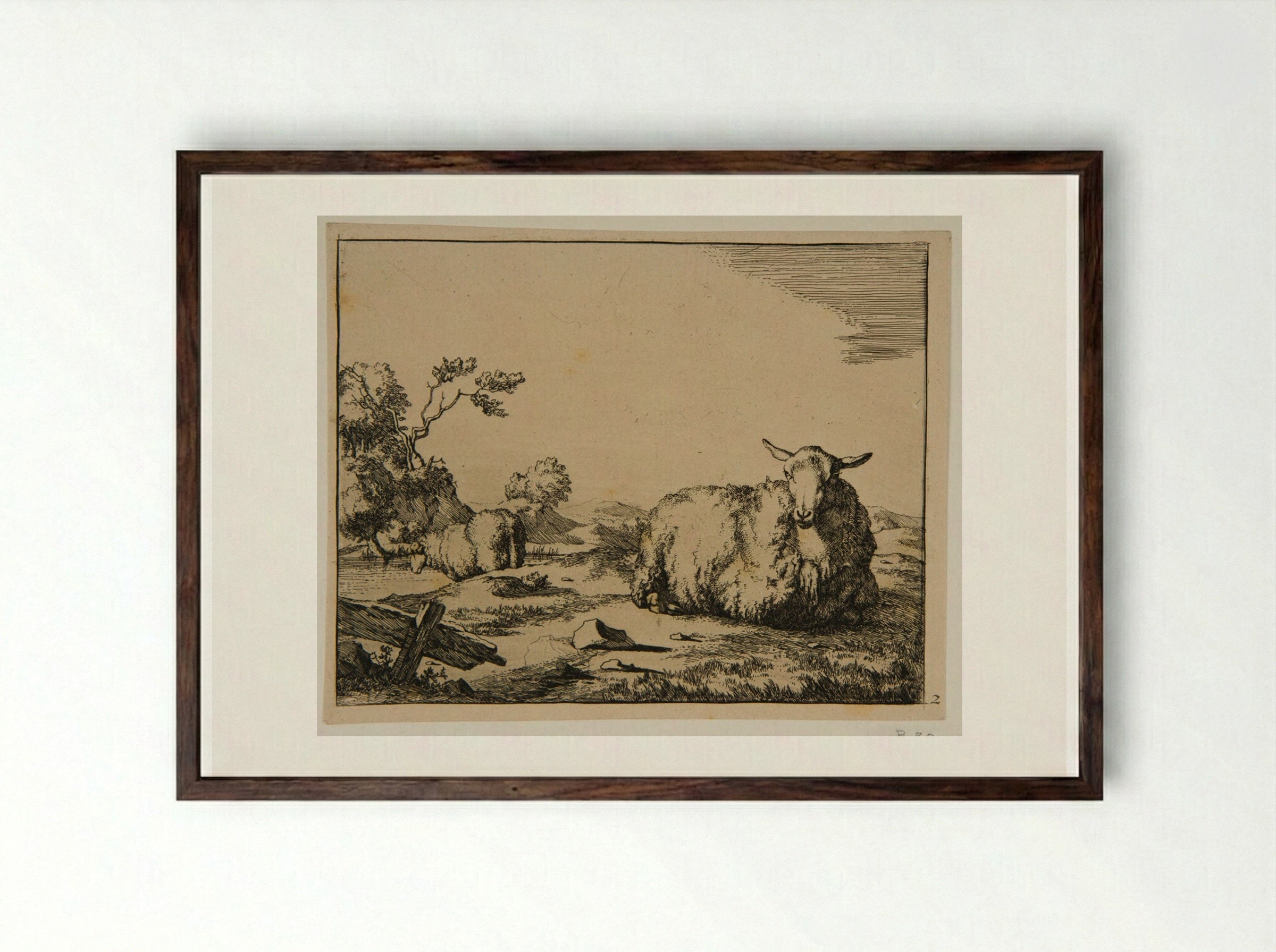 Plate I (Sheep in a Field) - Marcus de Bye - Framed Print Dark Wood