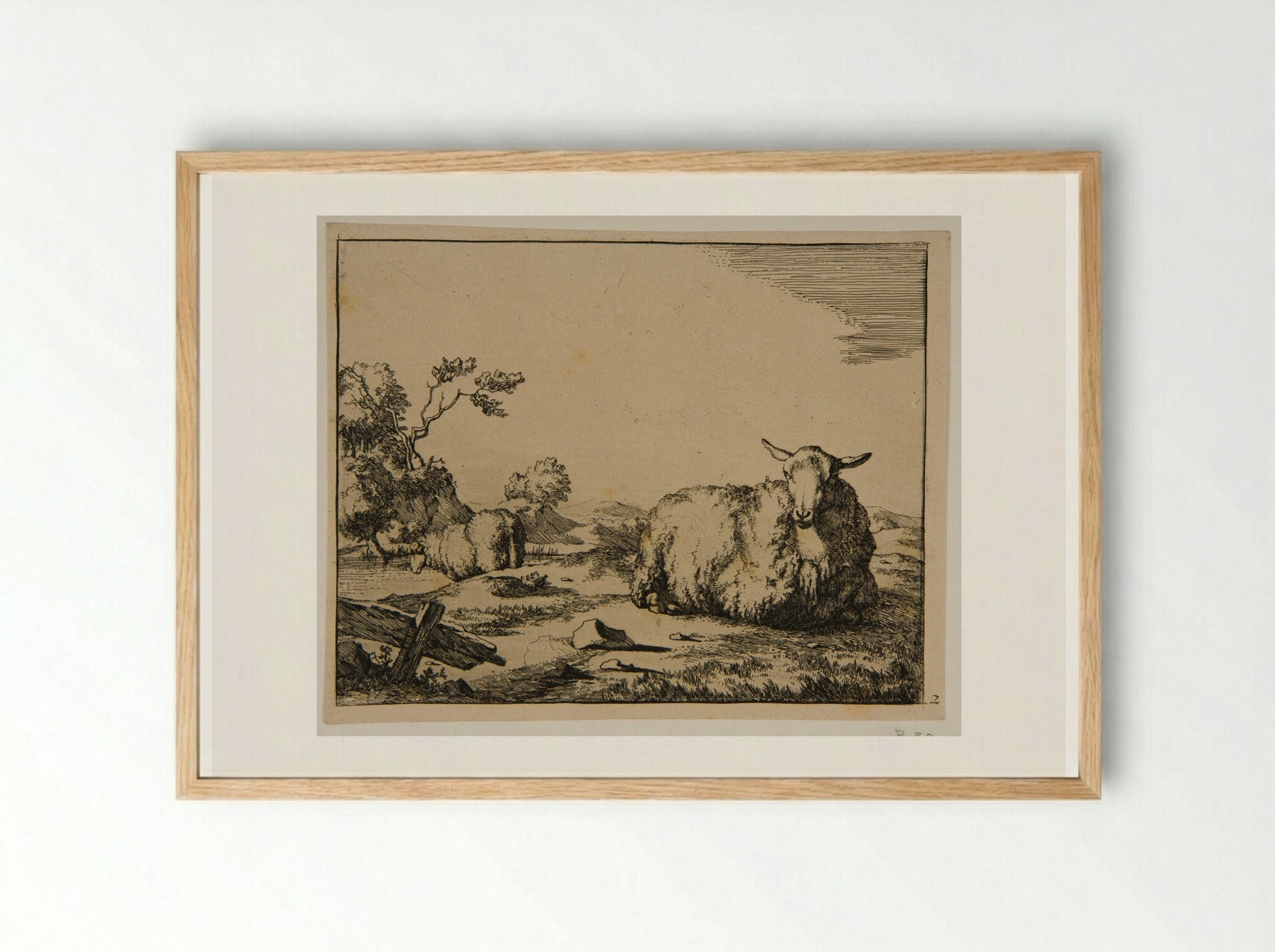 Plate I (Sheep in a Field) - Marcus de Bye - Framed Print Wood