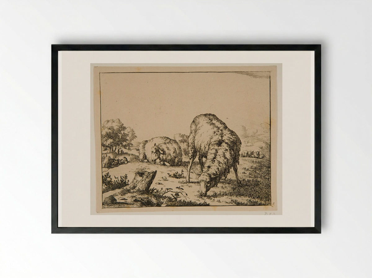 Plate III (Sheep in a Field) - Marcus de Bye - Framed Print Black