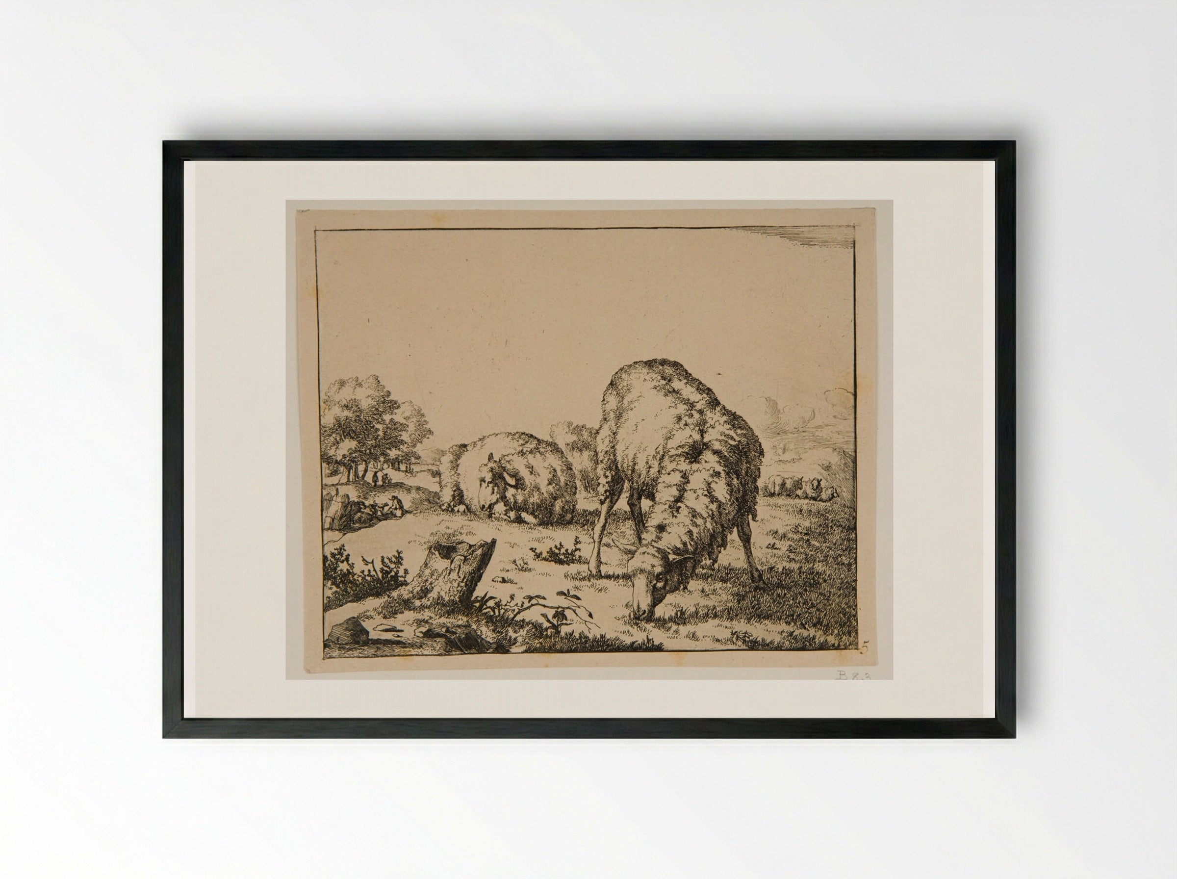 Plate III (Sheep in a Field) - Marcus de Bye - Framed Print Black