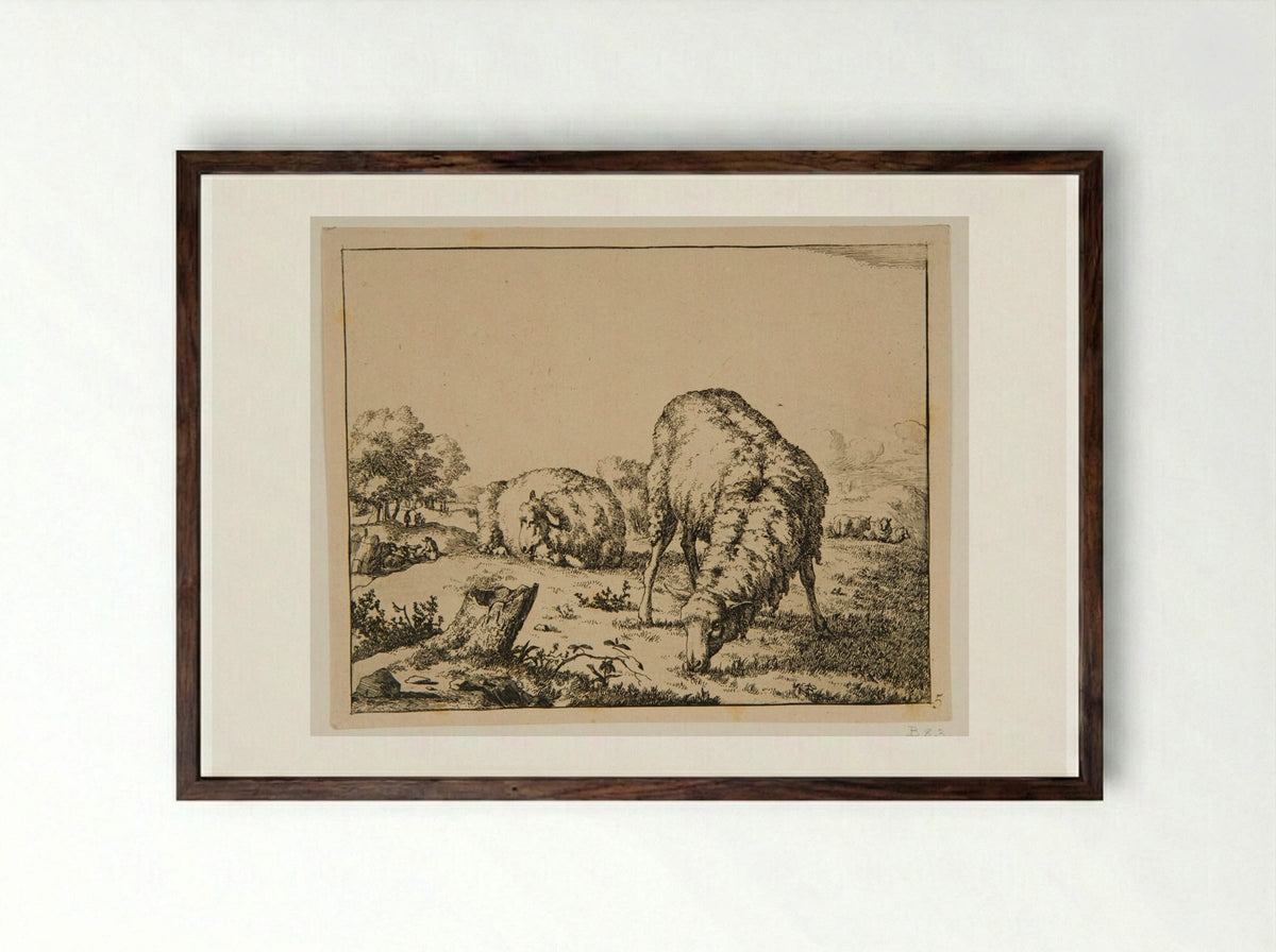 Plate III (Sheep in a Field) - Marcus de Bye - Framed Print Dark Wood