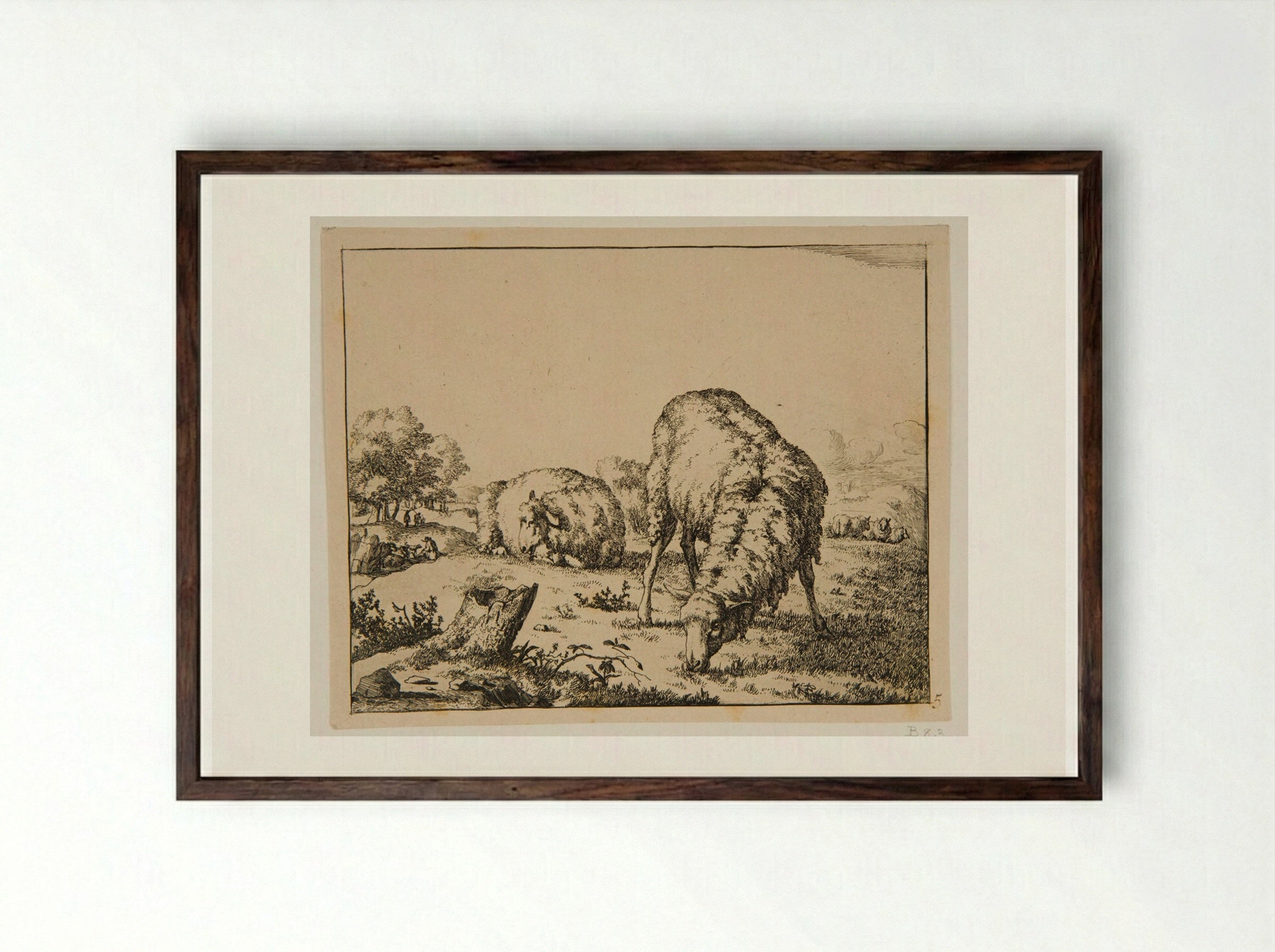 Plate III (Sheep in a Field) - Marcus de Bye - Framed Print Dark Wood