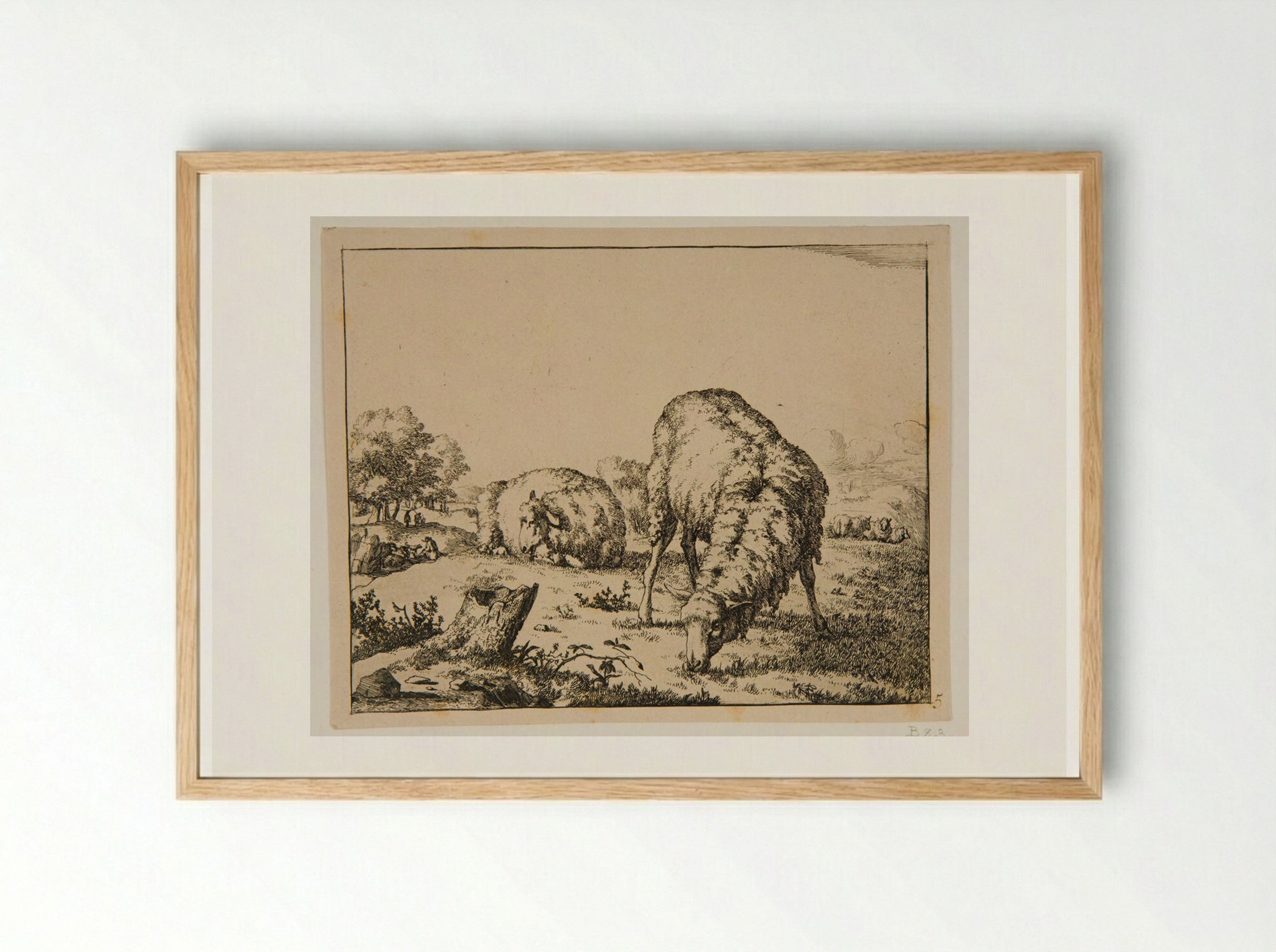 Plate III (Sheep in a Field) - Marcus de Bye - Framed Print Wood