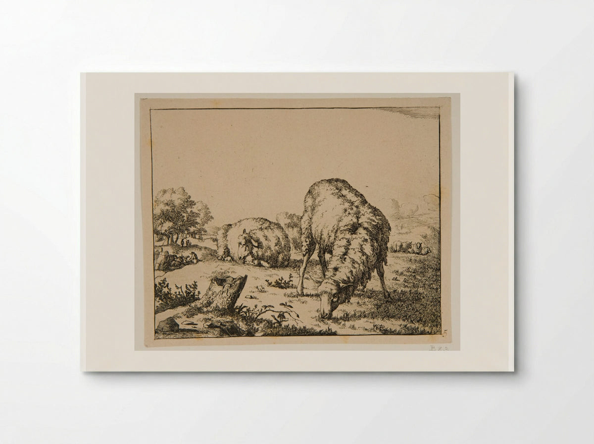 Plate III (Sheep in a Field) - Marcus de Bye - Poster