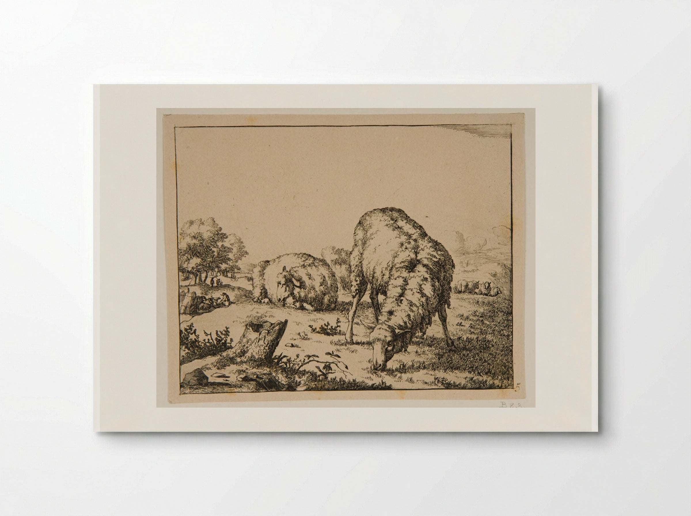 Plate III (Sheep in a Field) - Marcus de Bye - Poster