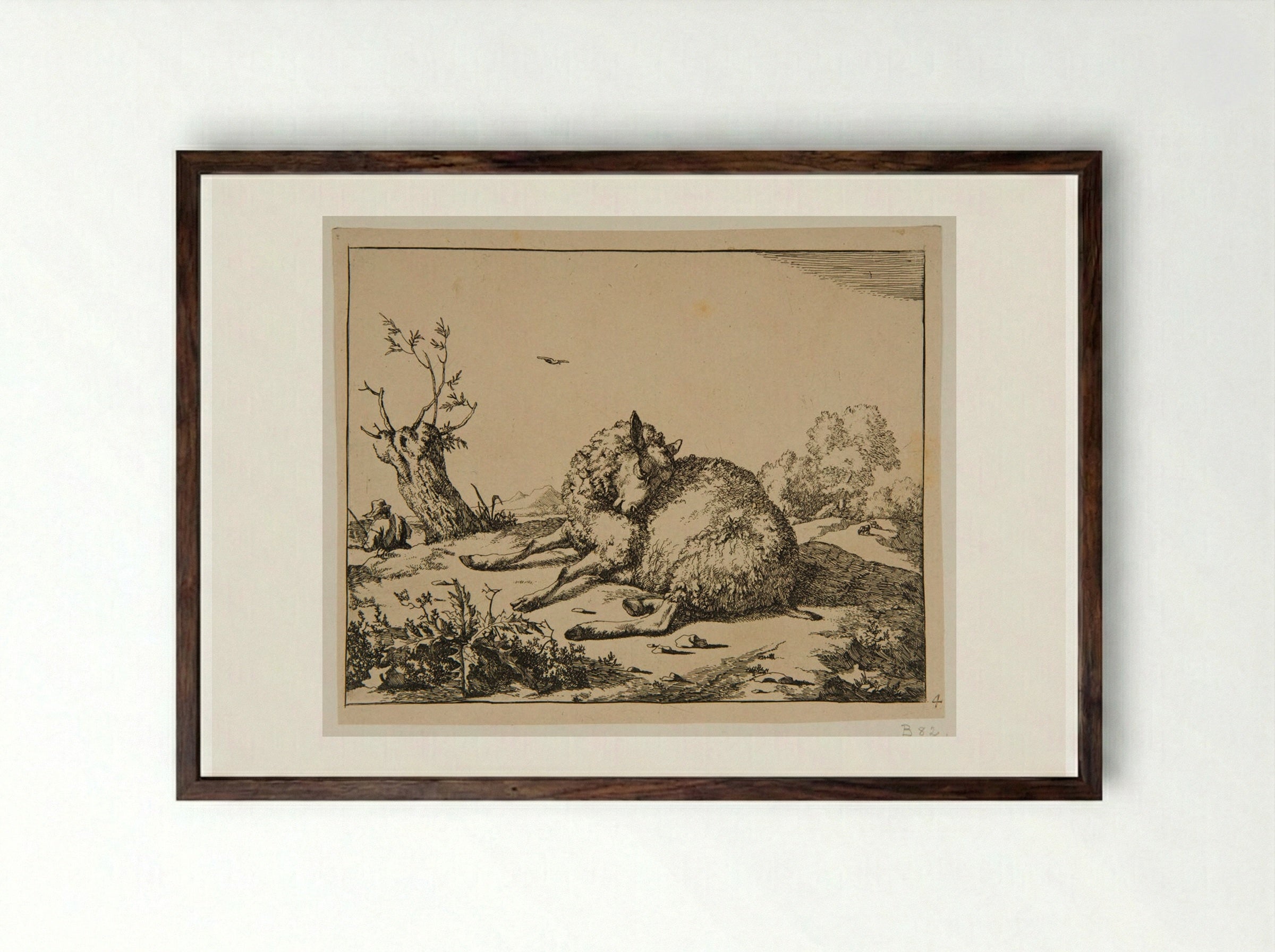 Plate II - Marcus de Bye - Framed Print Dark Wood