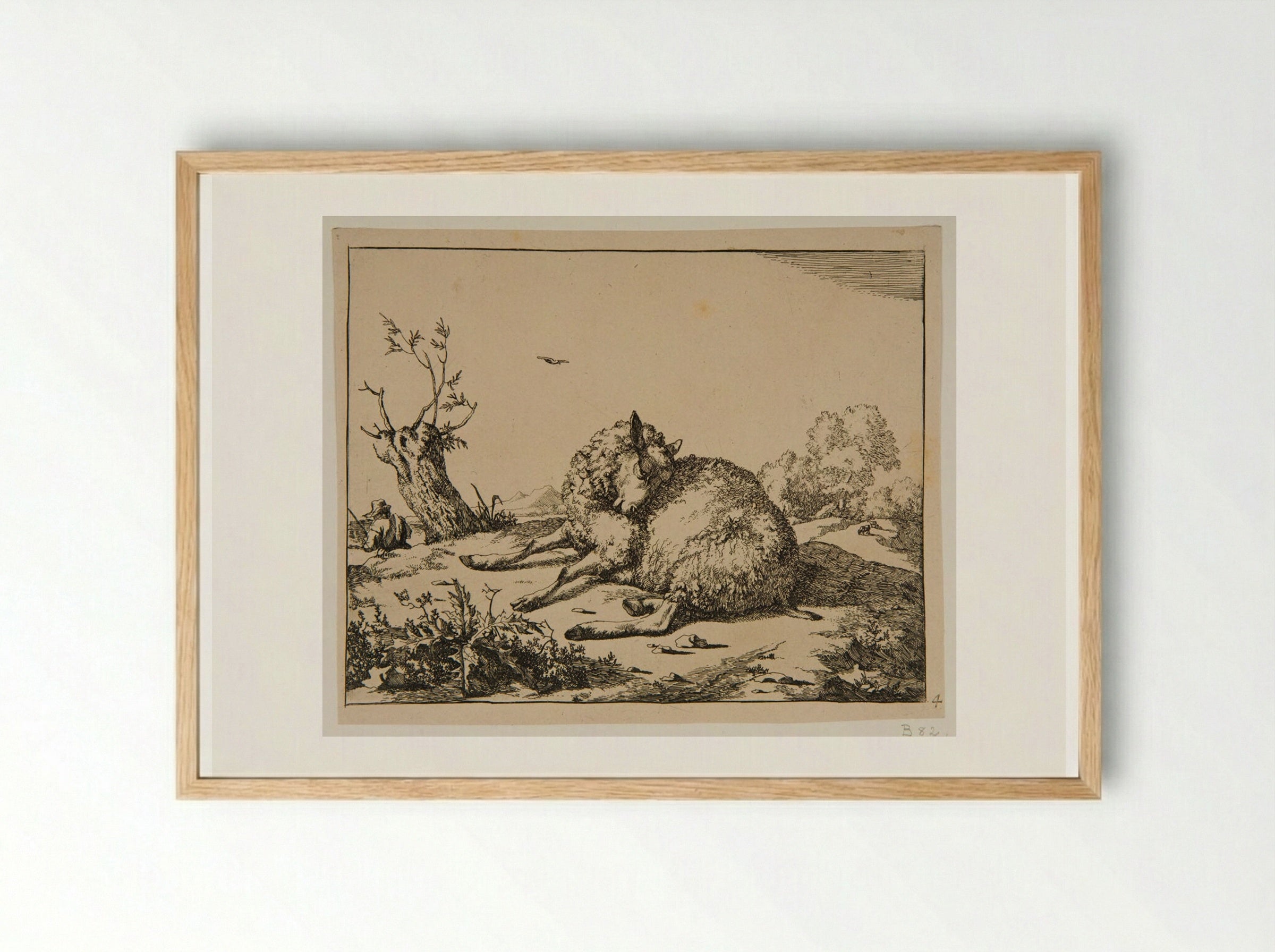 Plate II - Marcus de Bye - Framed Print Wood