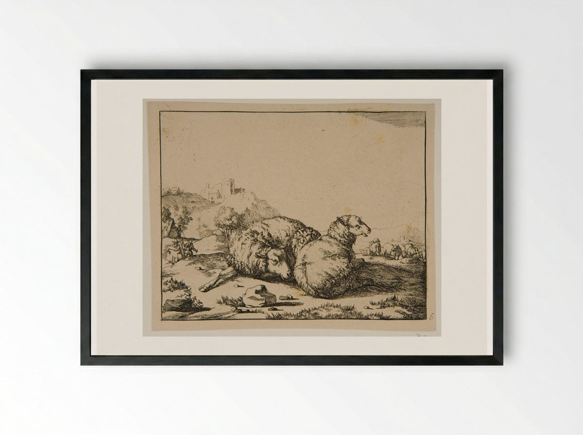 Plate IV (Study of Sheep) - Marcus de Bye - Framed Print Black