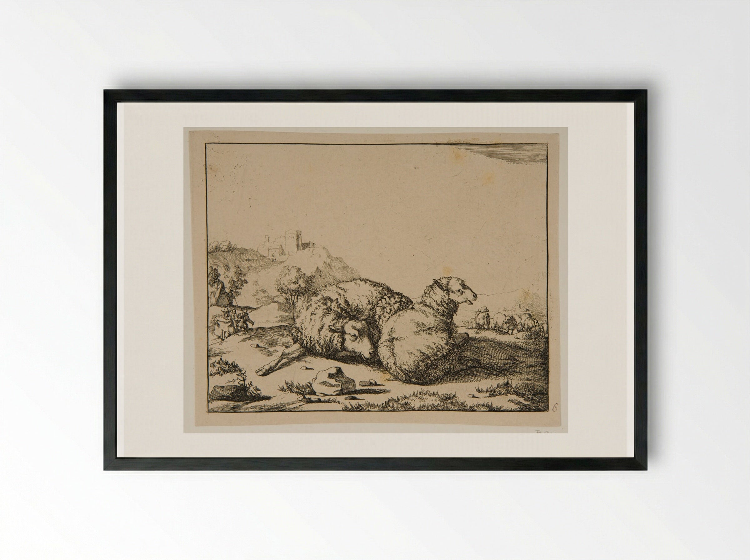 Plate IV (Study of Sheep) - Marcus de Bye - Framed Print Black