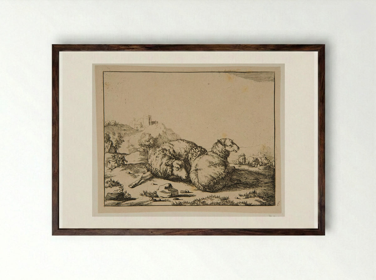 Plate IV (Study of Sheep) - Marcus de Bye - Framed Print Dark Wood