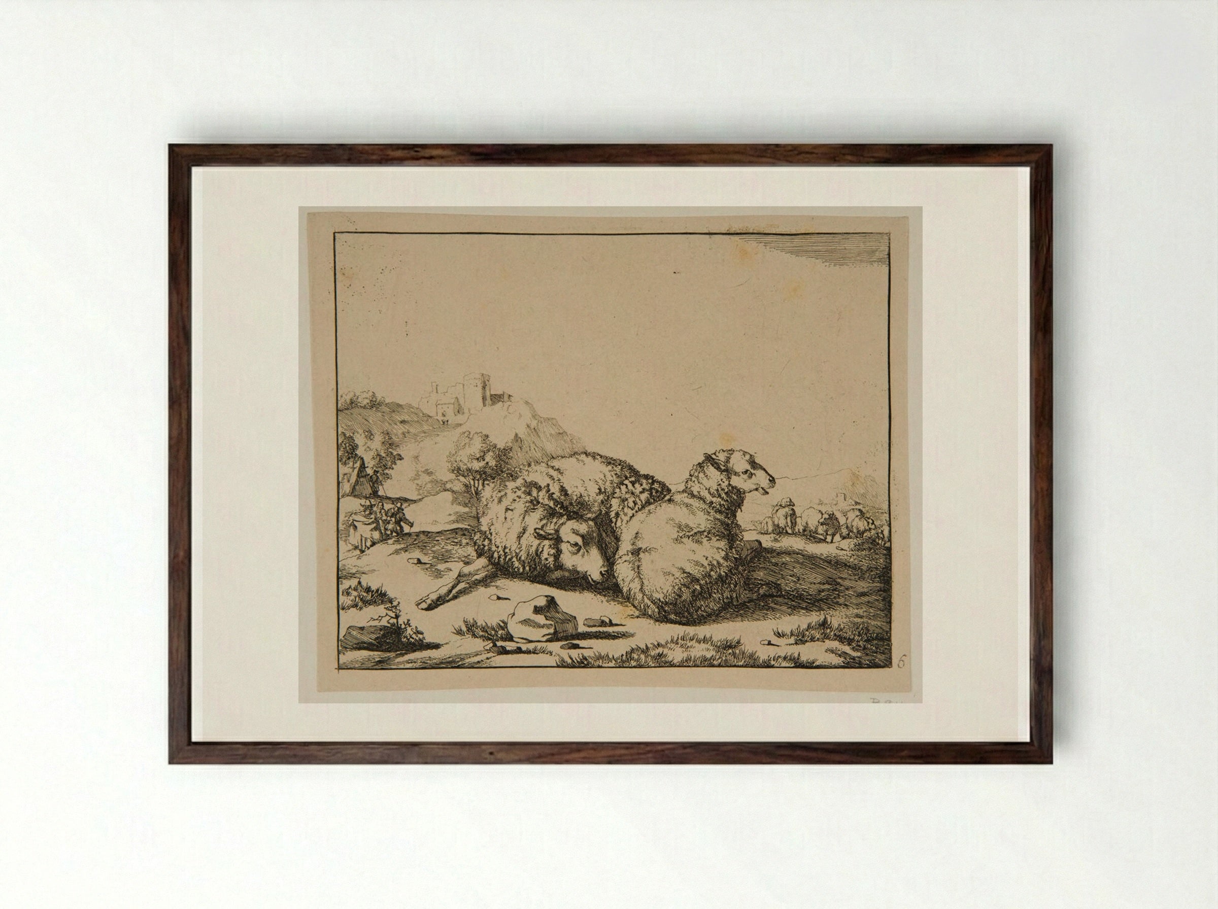 Plate IV (Study of Sheep) - Marcus de Bye - Framed Print Dark Wood