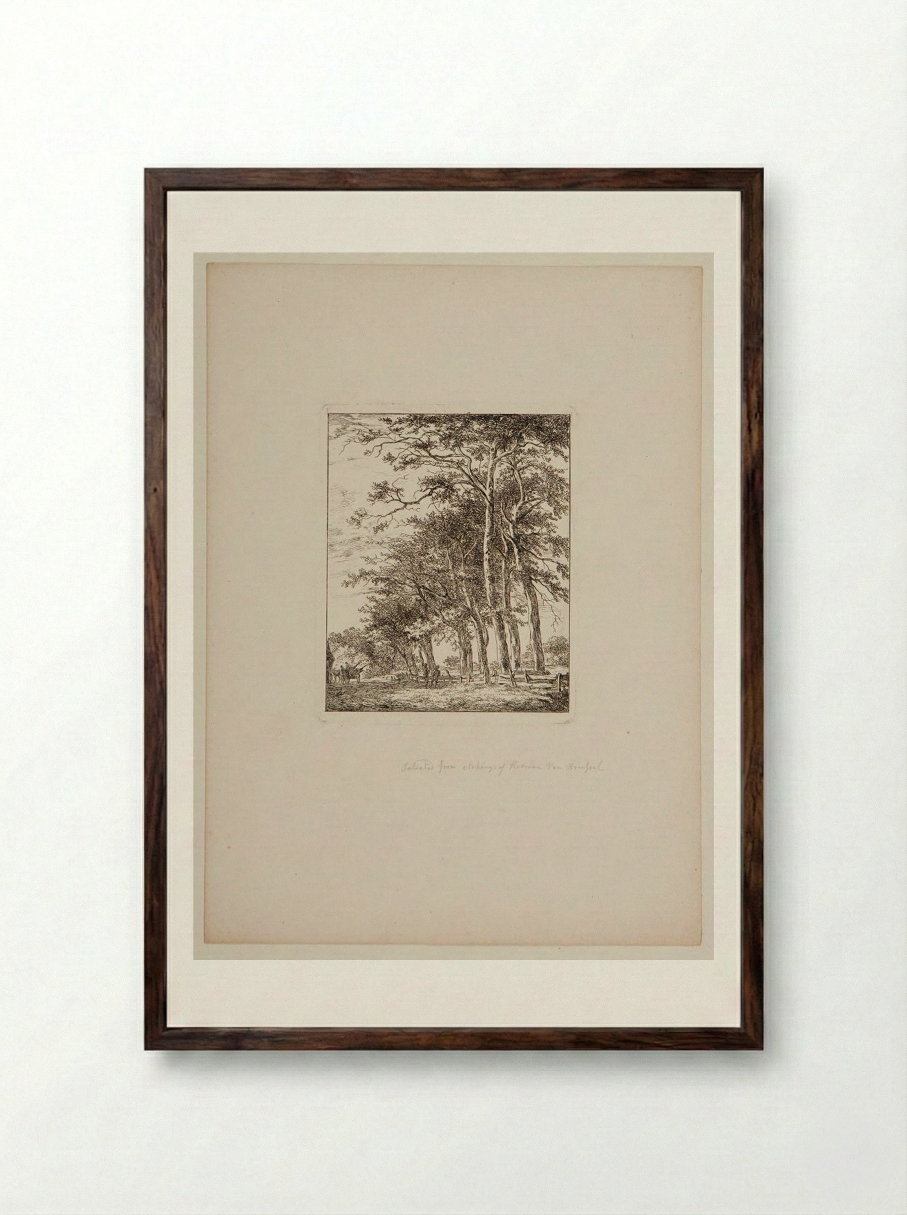 Plate V (Tree-Lined Path) - Hermanus van Brussel - Framed Print Dark Wood