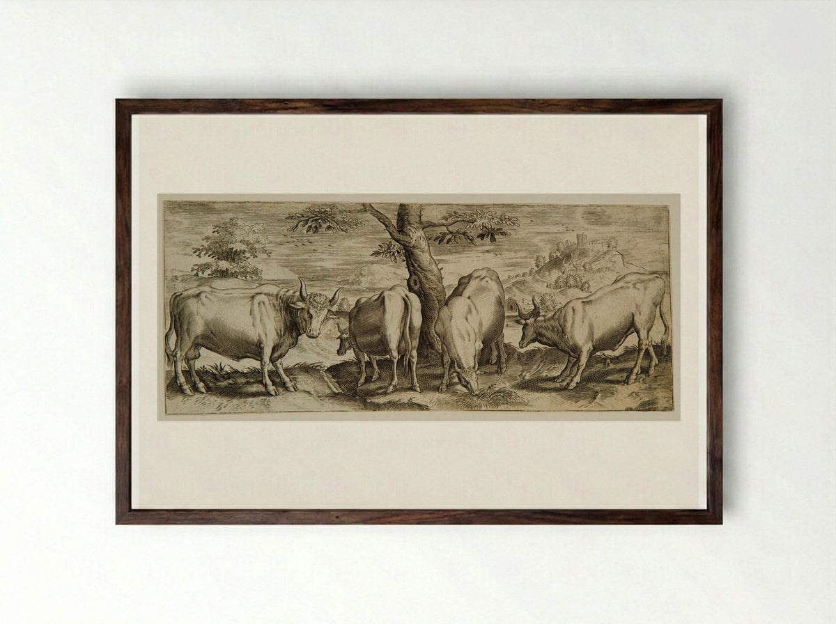Plate VI (Cattle in a Rural Setting) - Abraham de Bruyn - Framed Print Dark Wood