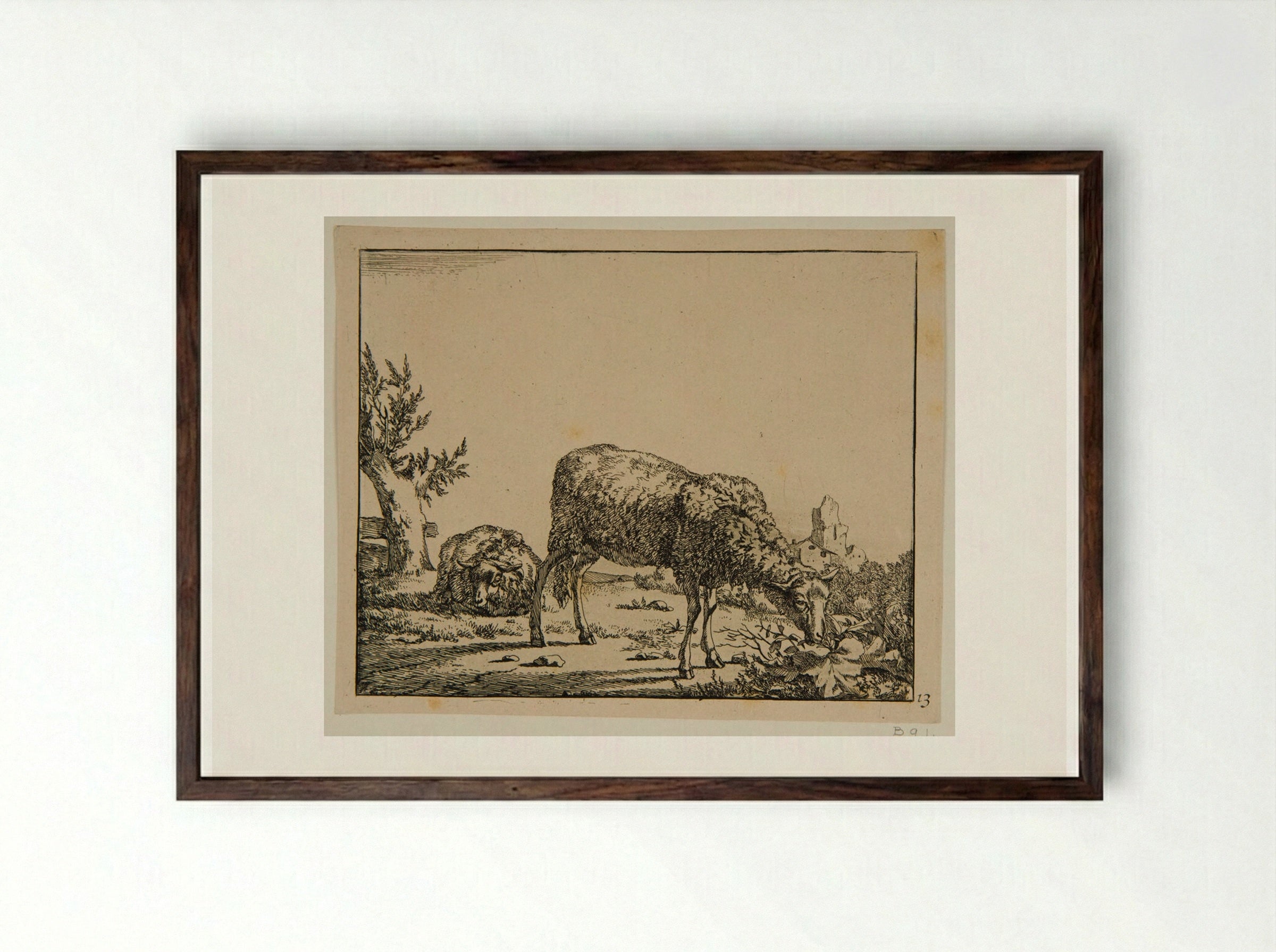 Plate VII (Sheep in a Field) - Marcus de Bye - Framed Print Dark Wood