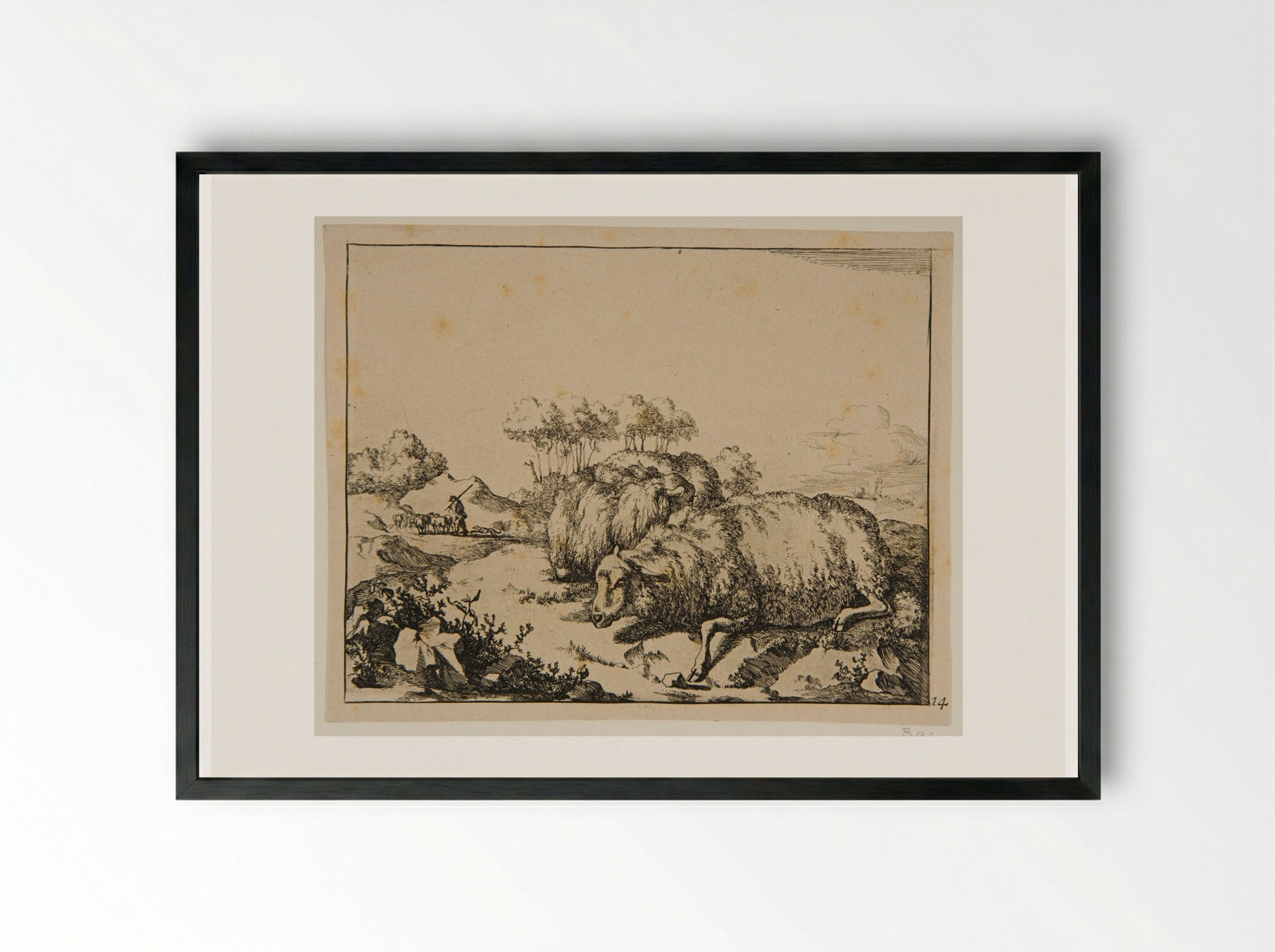 Plate VIII (Sheep Resting) - Marcus de Bye - Framed Print Black