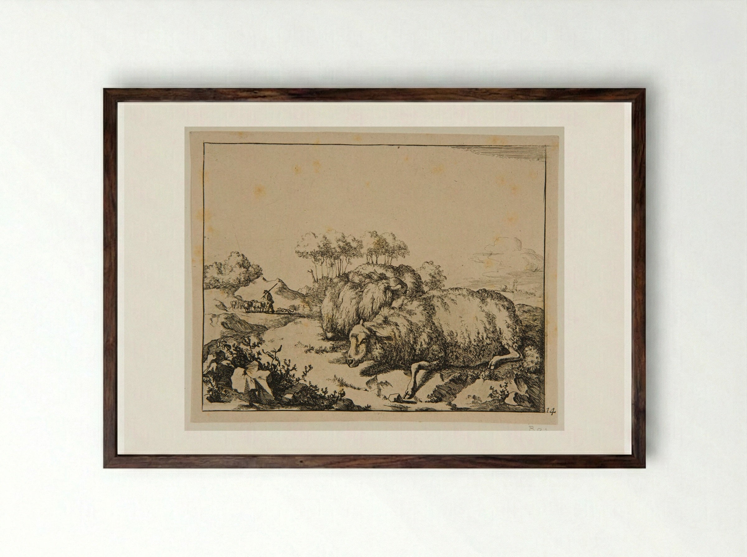 Plate VIII (Sheep Resting) - Marcus de Bye - Framed Print Dark Wood