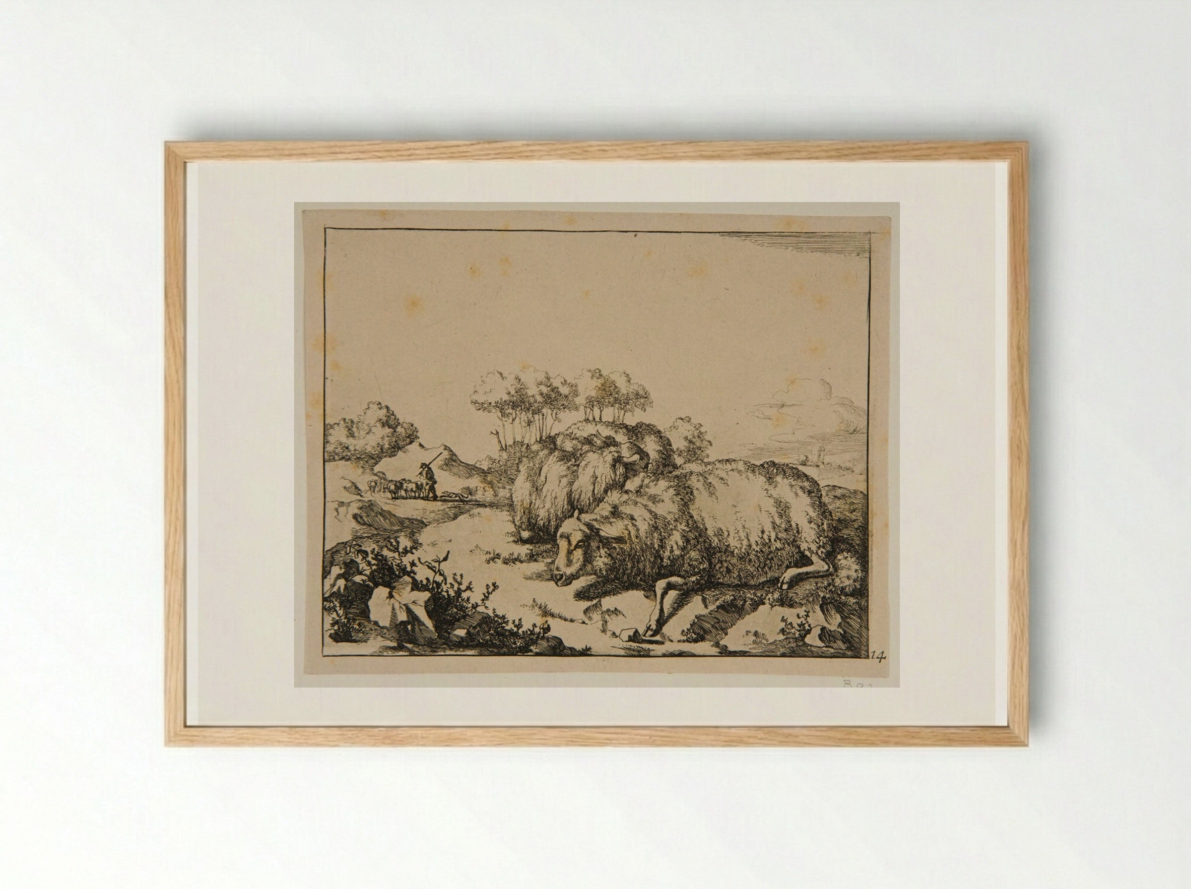 Plate VIII (Sheep Resting) - Marcus de Bye - Framed Print Wood