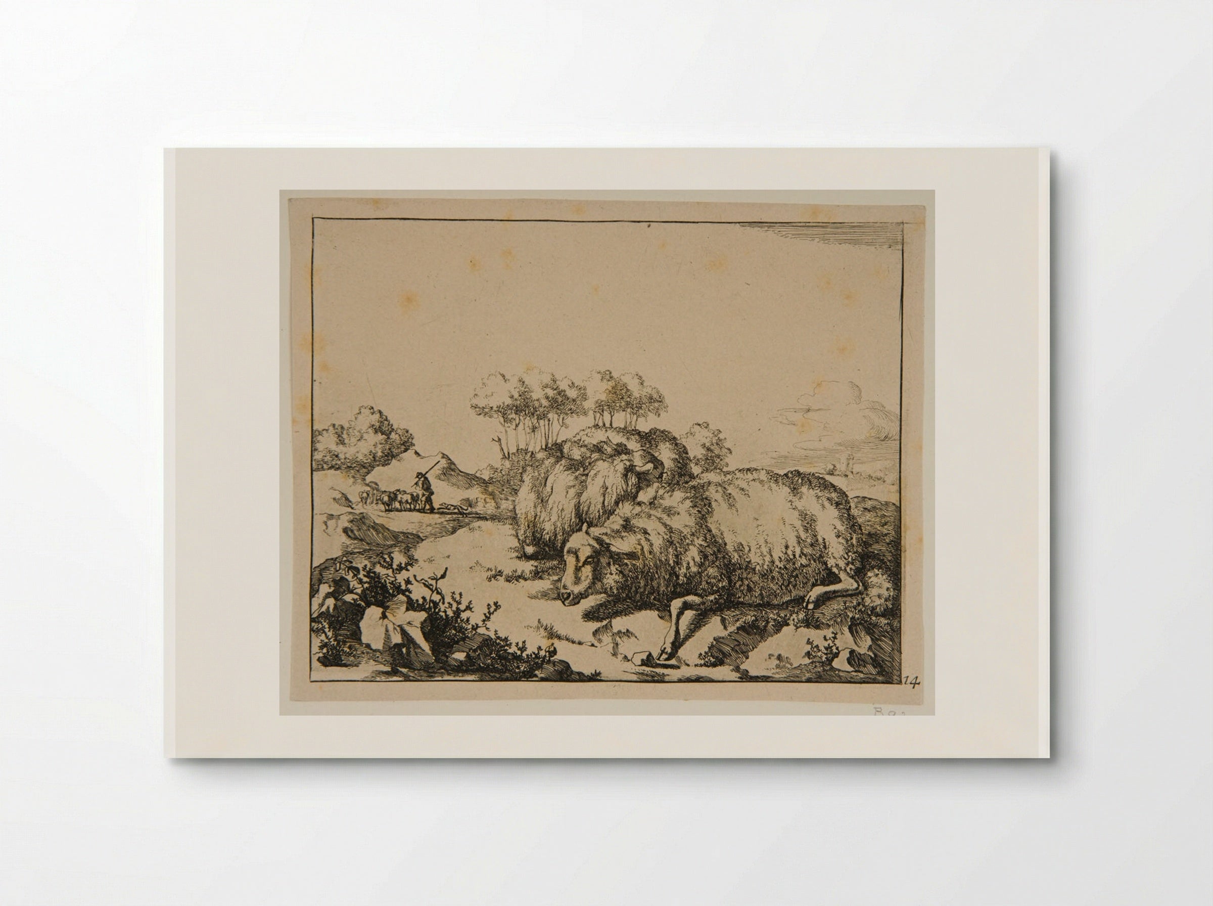 Plate VIII (Sheep Resting) - Marcus de Bye - Poster
