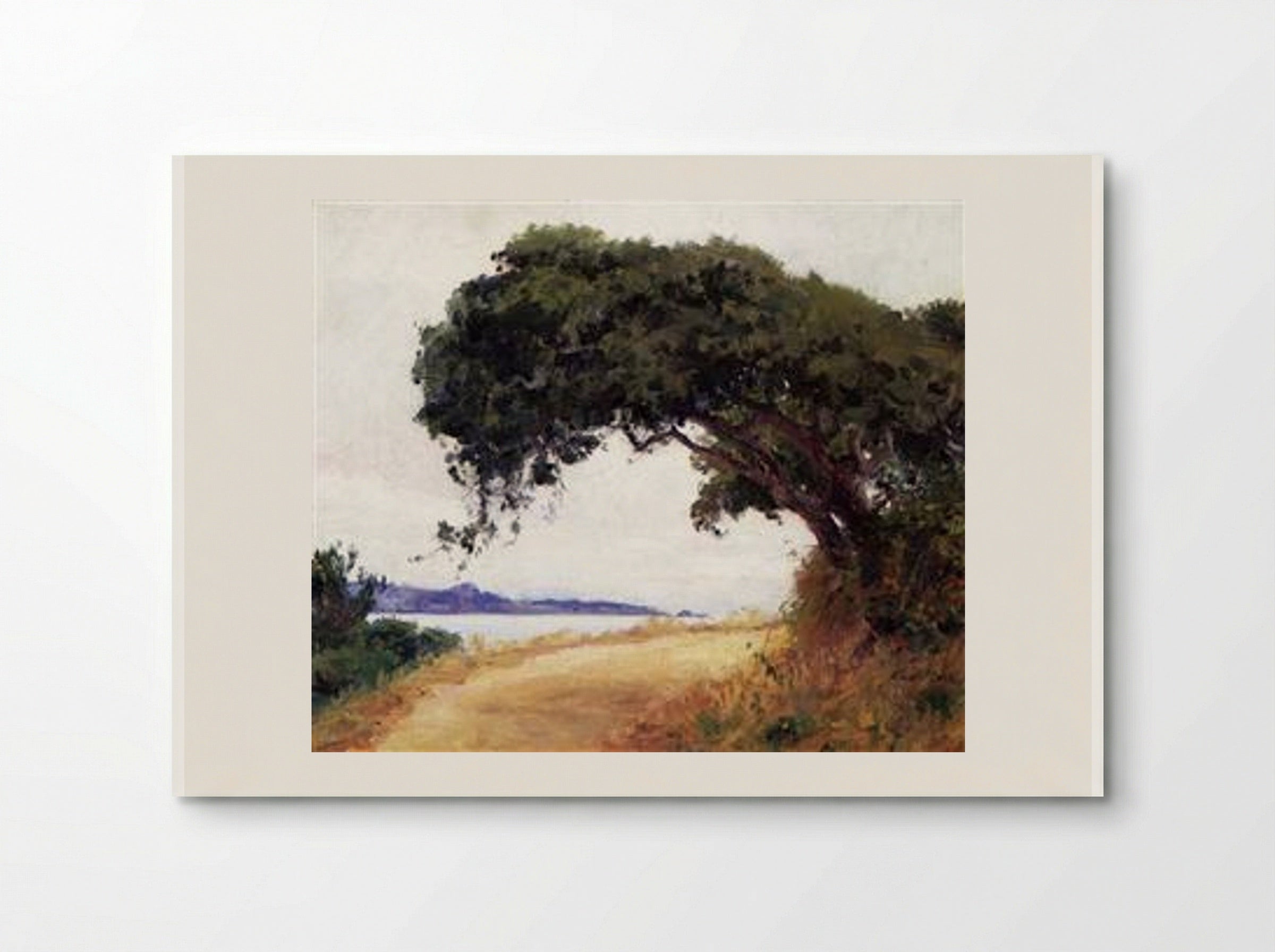 Point Lobos, Oak Tree - Guy Rose - Poster