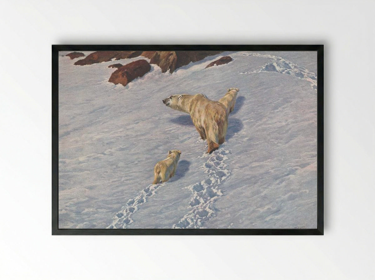 Polar Bear Family - Richard Friese - Framed Print Black