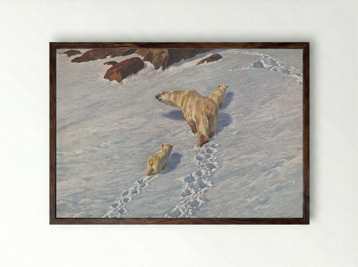 Polar Bear Family - Richard Friese - Framed Print Dark Wood