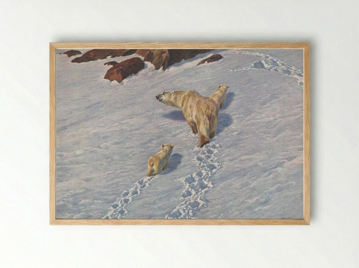 Polar Bear Family - Richard Friese - Framed Print Wood