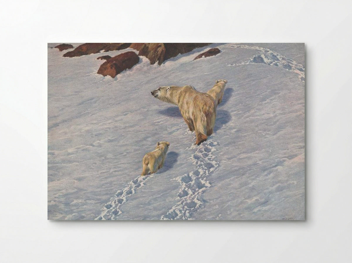 Polar Bear Family - Richard Friese - Poster