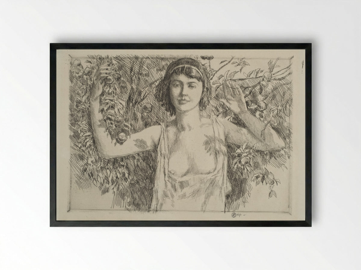 Polly Kane - Childe Hassam - Framed Print Black
