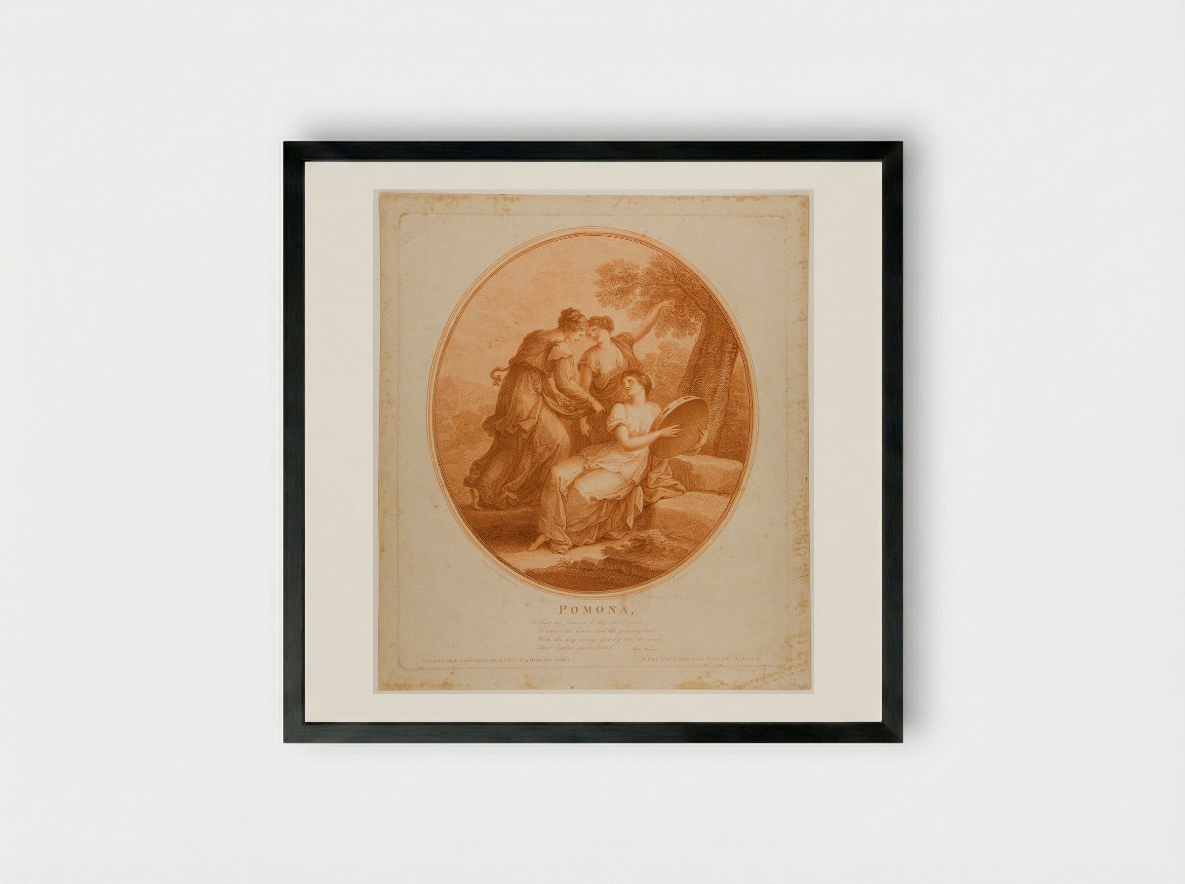 Pomona - Francesco Bartolozzi - Framed Print Black