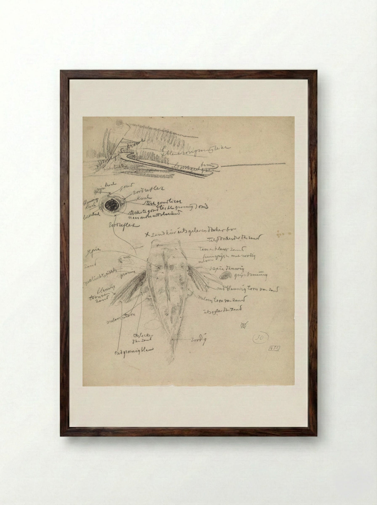 Poon op de rug gezien en studies van een oog - Gerrit Willem Dijsselhof - Framed Print Dark Wood