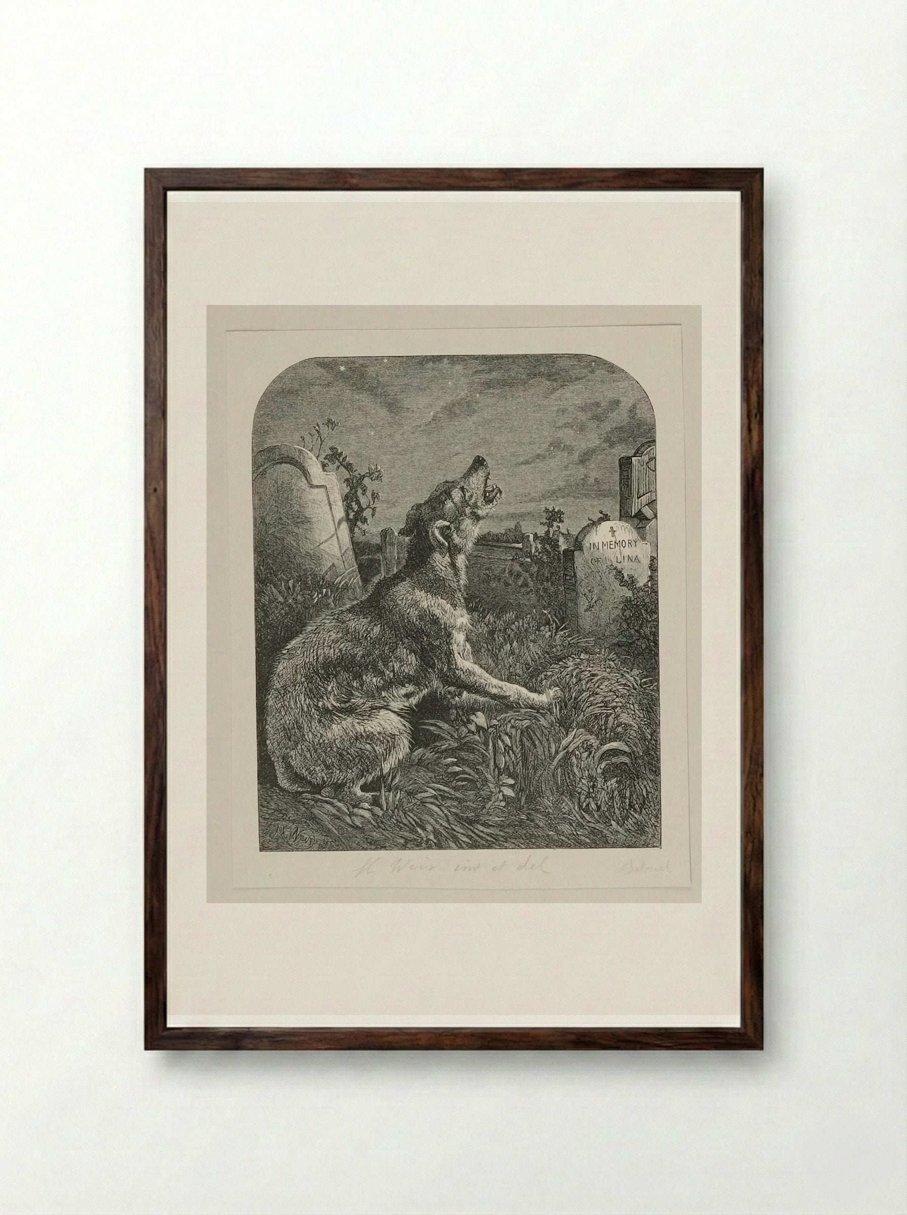Poor Man's Grave - Harrison Weir - Framed Print Dark Wood
