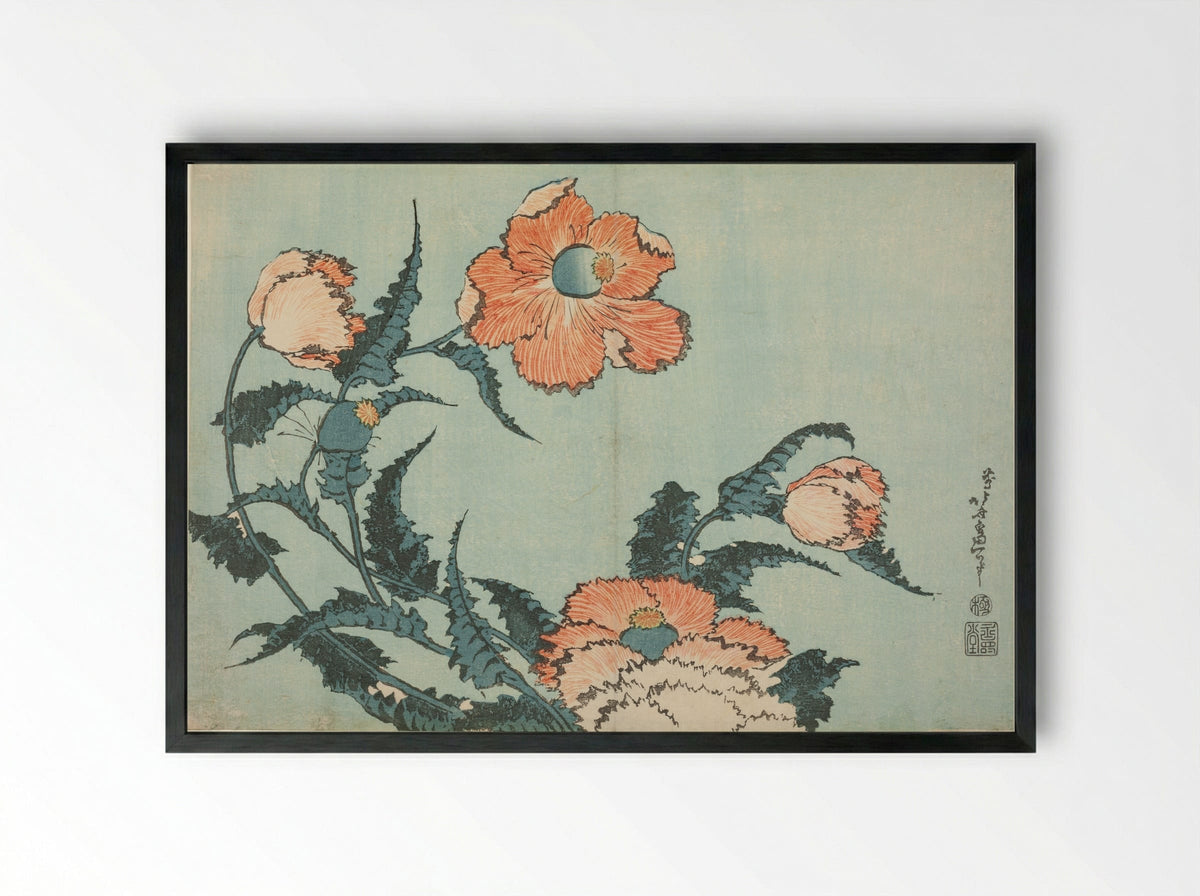 Poppies, from an untitled series of flowers - Katsushika Hokusai - Framed Print Black