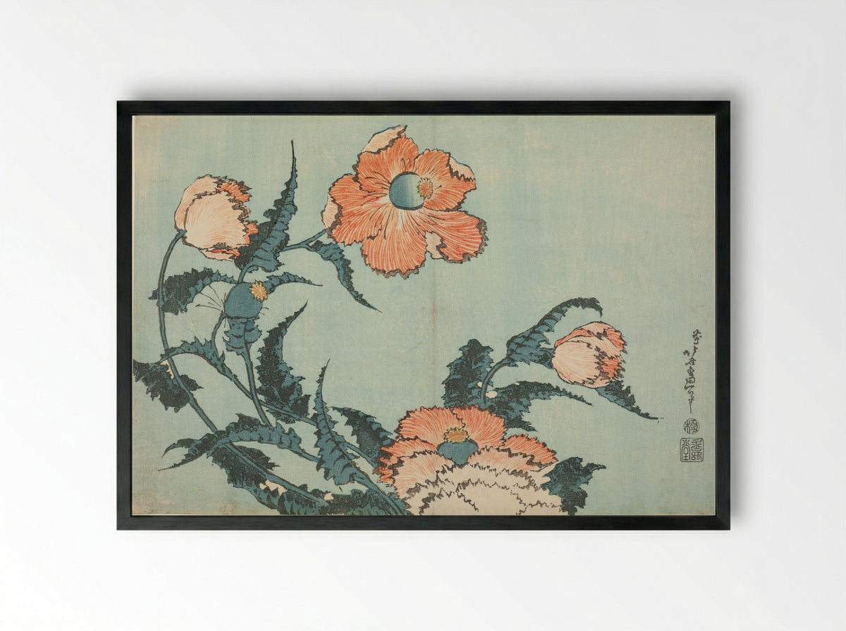 Poppies, from an untitled series of flowers - Katsushika Hokusai - Framed Print Black