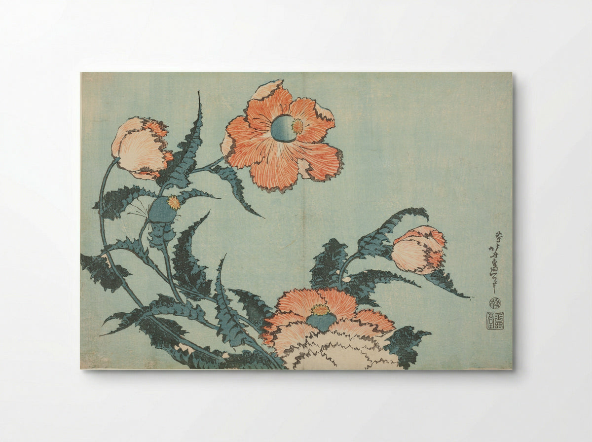 Poppies, from an untitled series of flowers - Katsushika Hokusai - Poster